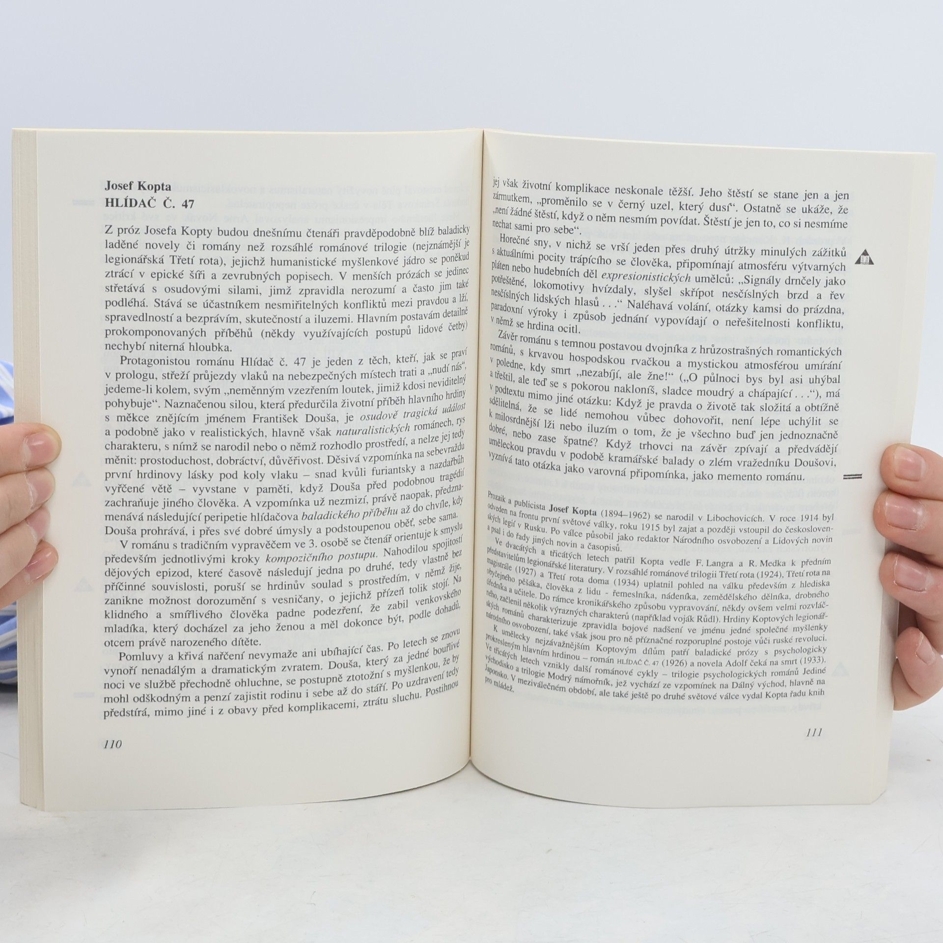 Kolektiv autorů Česká literatura 1910-1945 pro 3. ročník středních škol