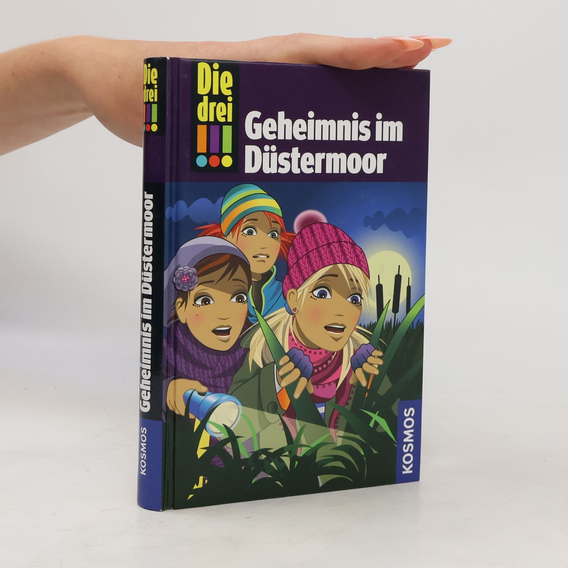 Maja von Vogel Geheimnis im Düstermoor