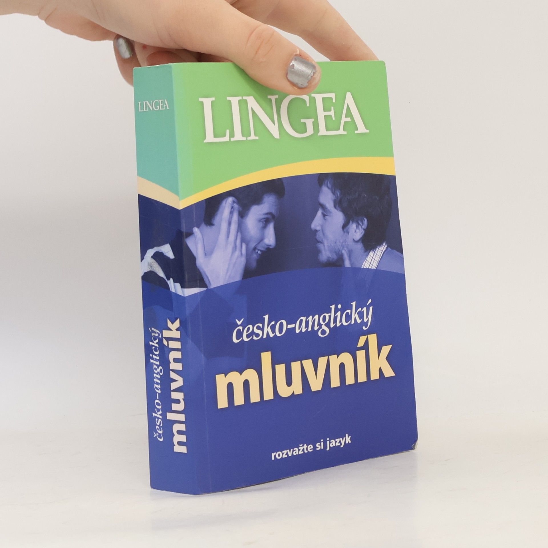 Kolektiv autorů Česko-anglický mluvník
