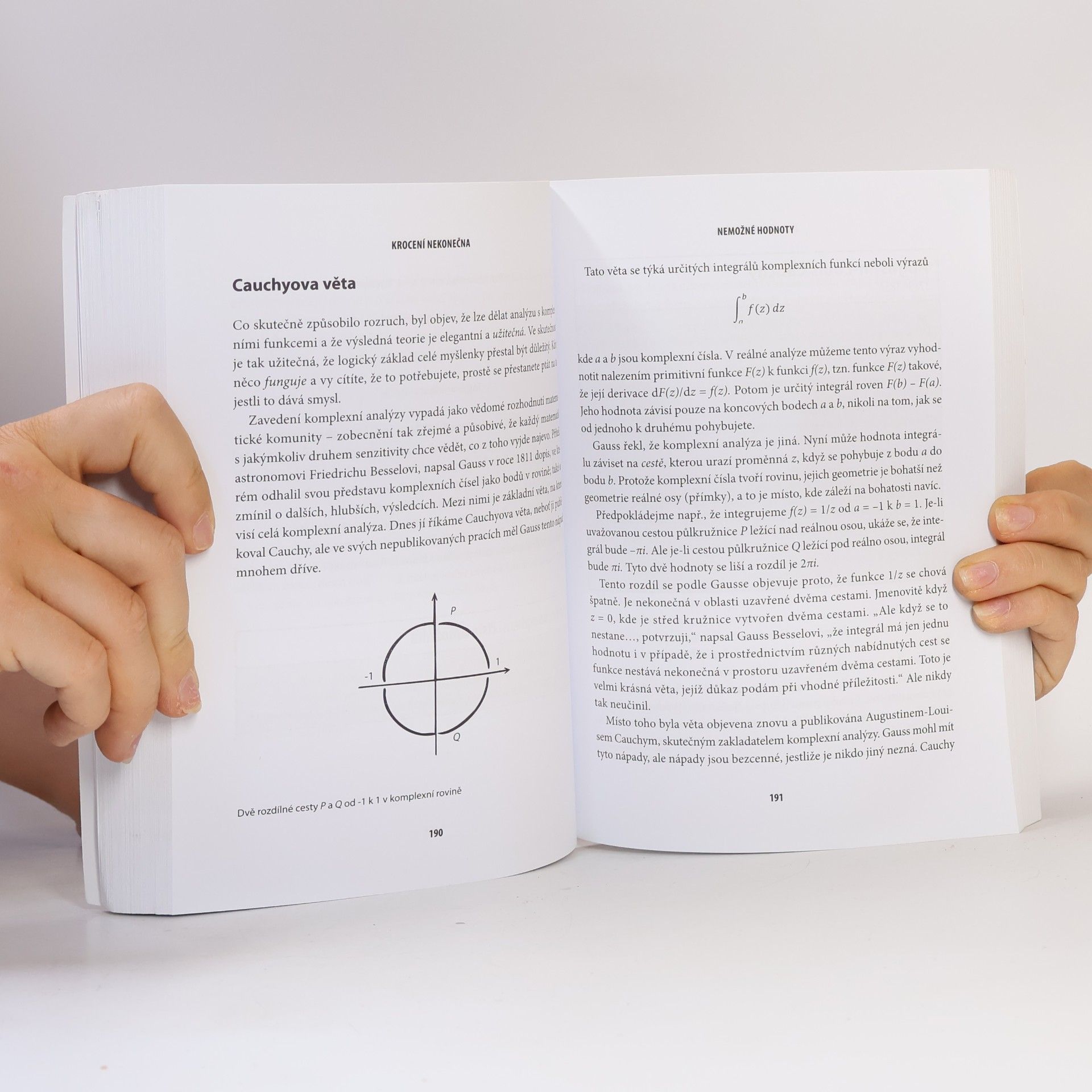 Ian Stewart Krocení nekonečna. Příběh matematiky od prvních čísel po teorii chaosu