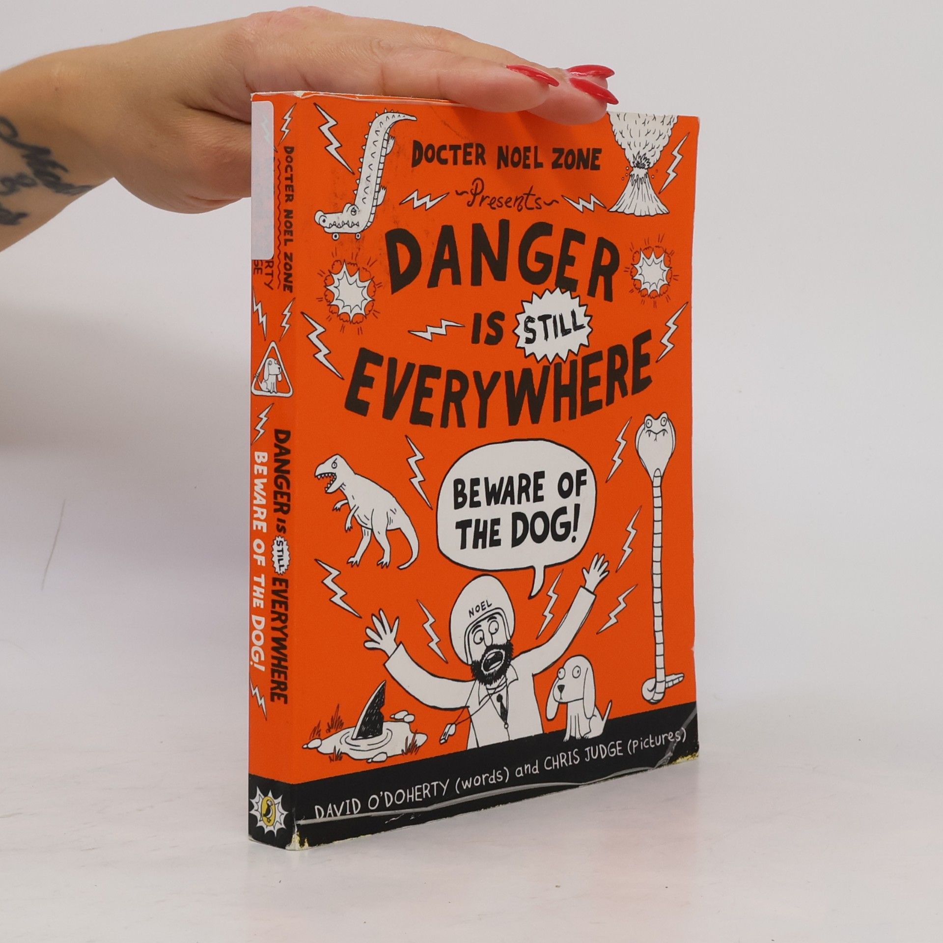 David O'Doherty Danger is Still Everywhere