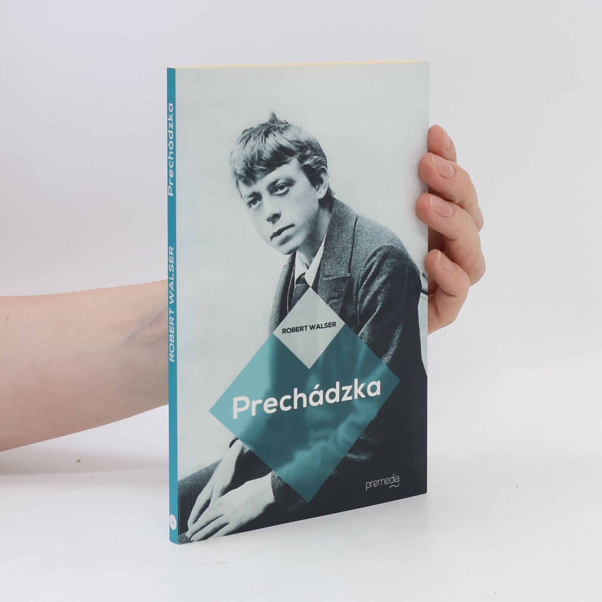 Robert Walser Prechádzka