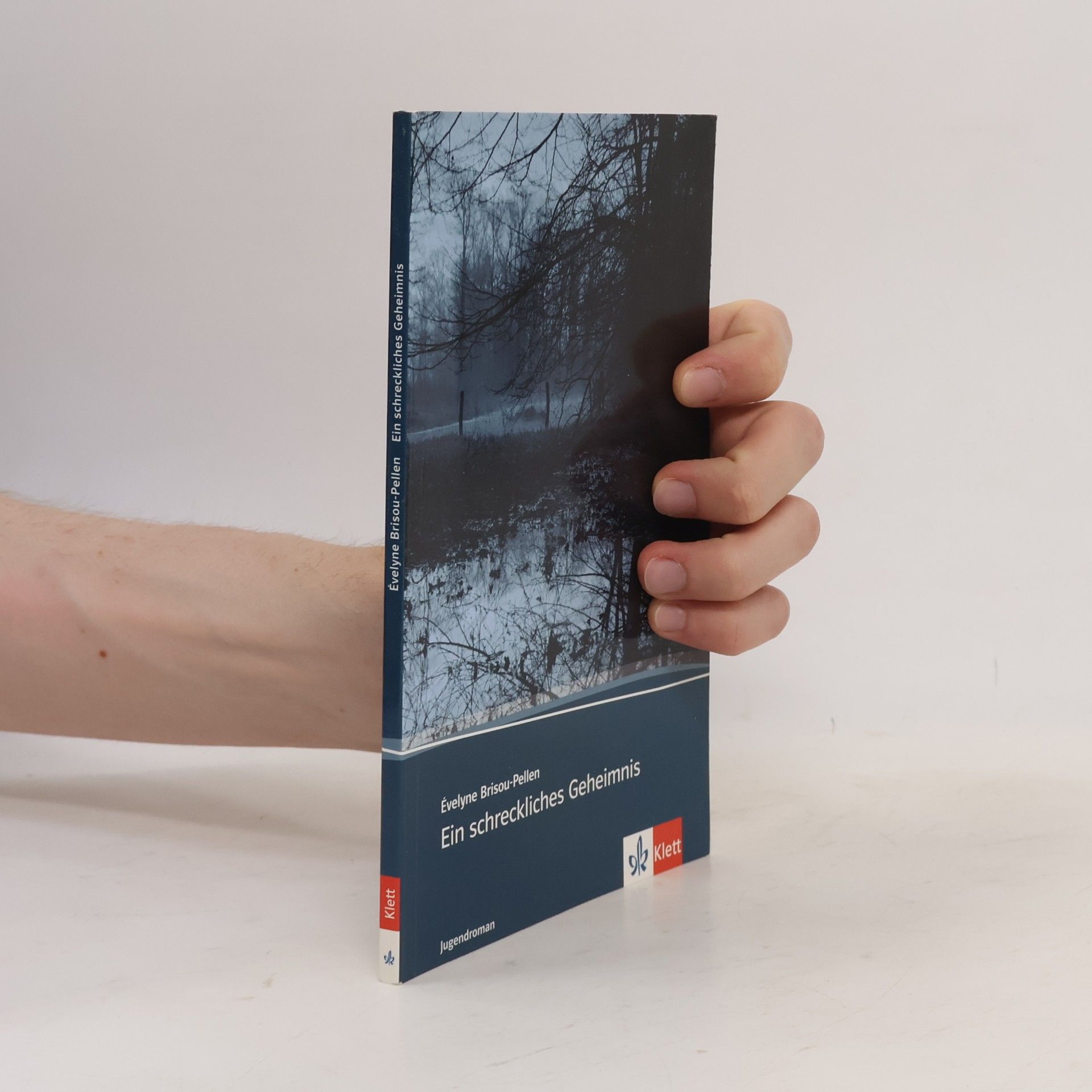 Évelyne Brisou-Pellen Ein schreckliches Geheimnis meiner Großeltern