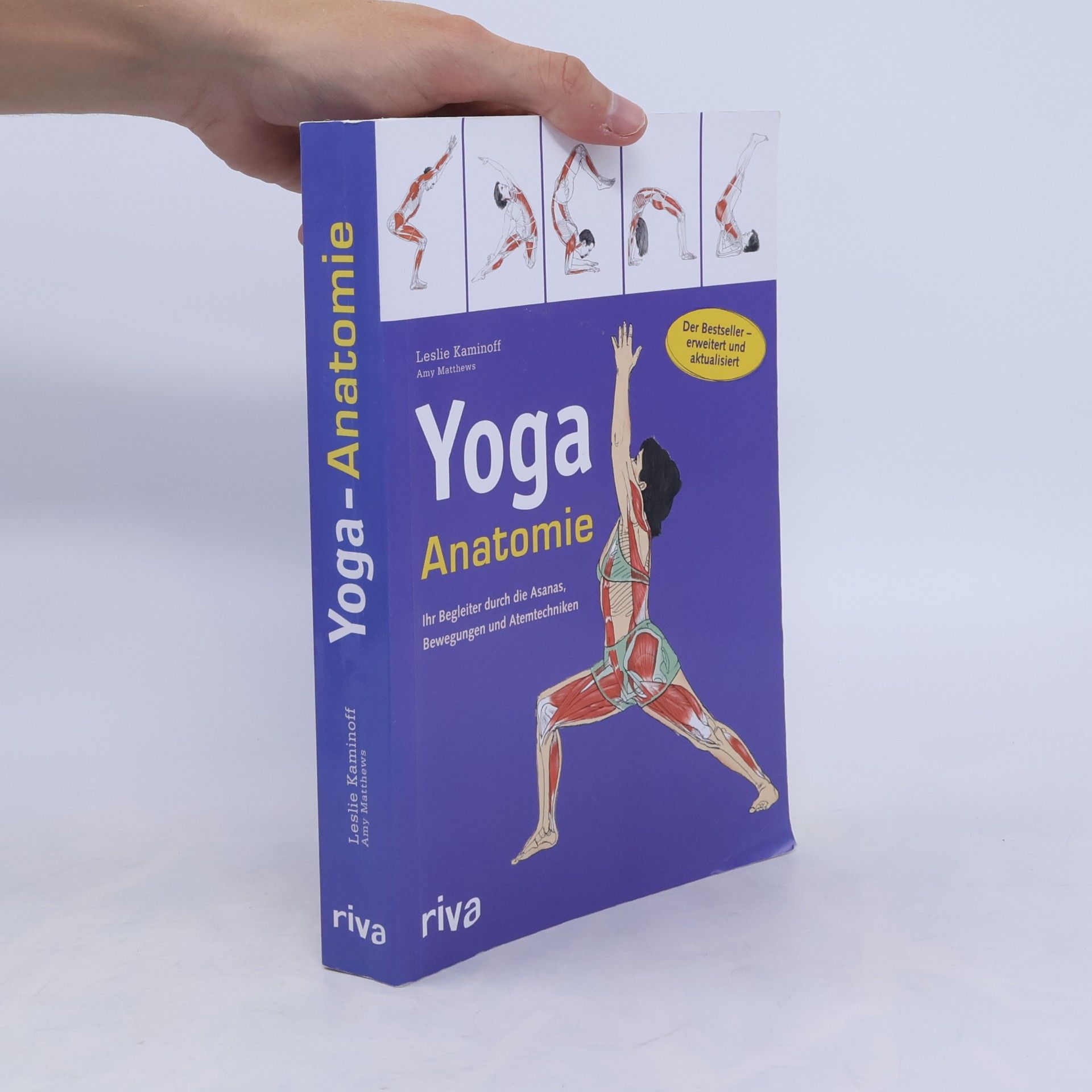 Leslie Kaminoff Yoga-Anatomie