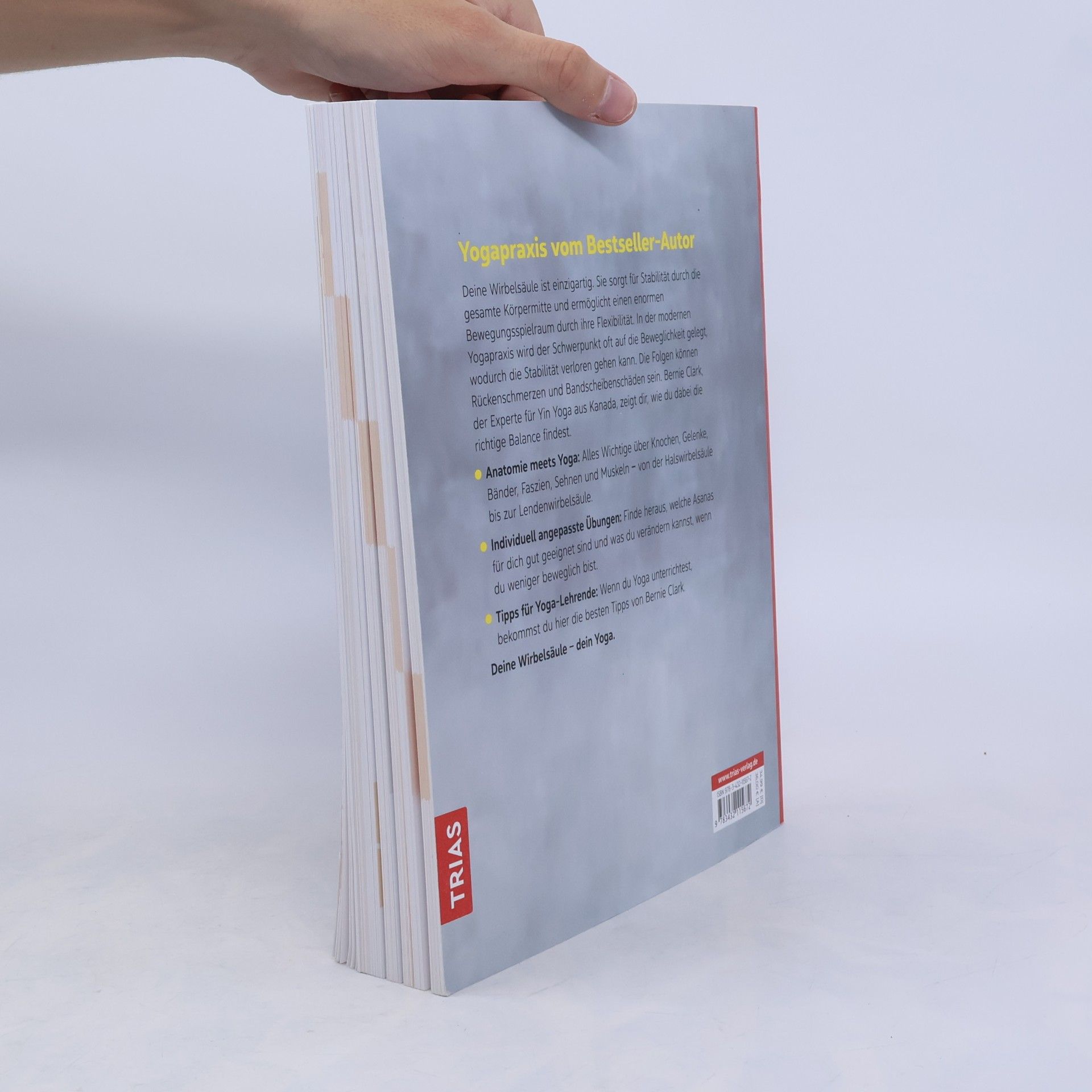 Bernie Clark Das grosse Yoga-Buch für die Wirbelsäule