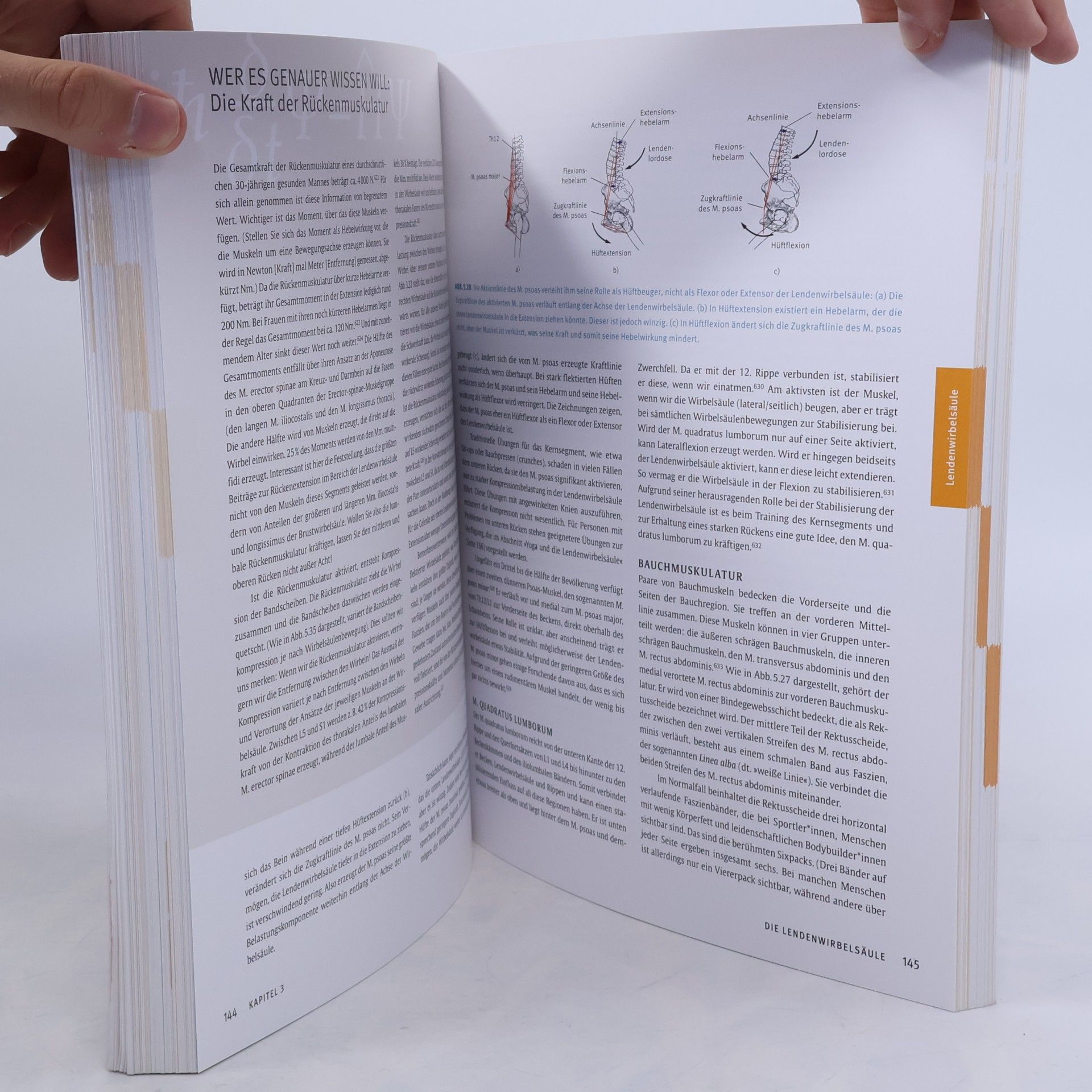 Bernie Clark Das grosse Yoga-Buch für die Wirbelsäule