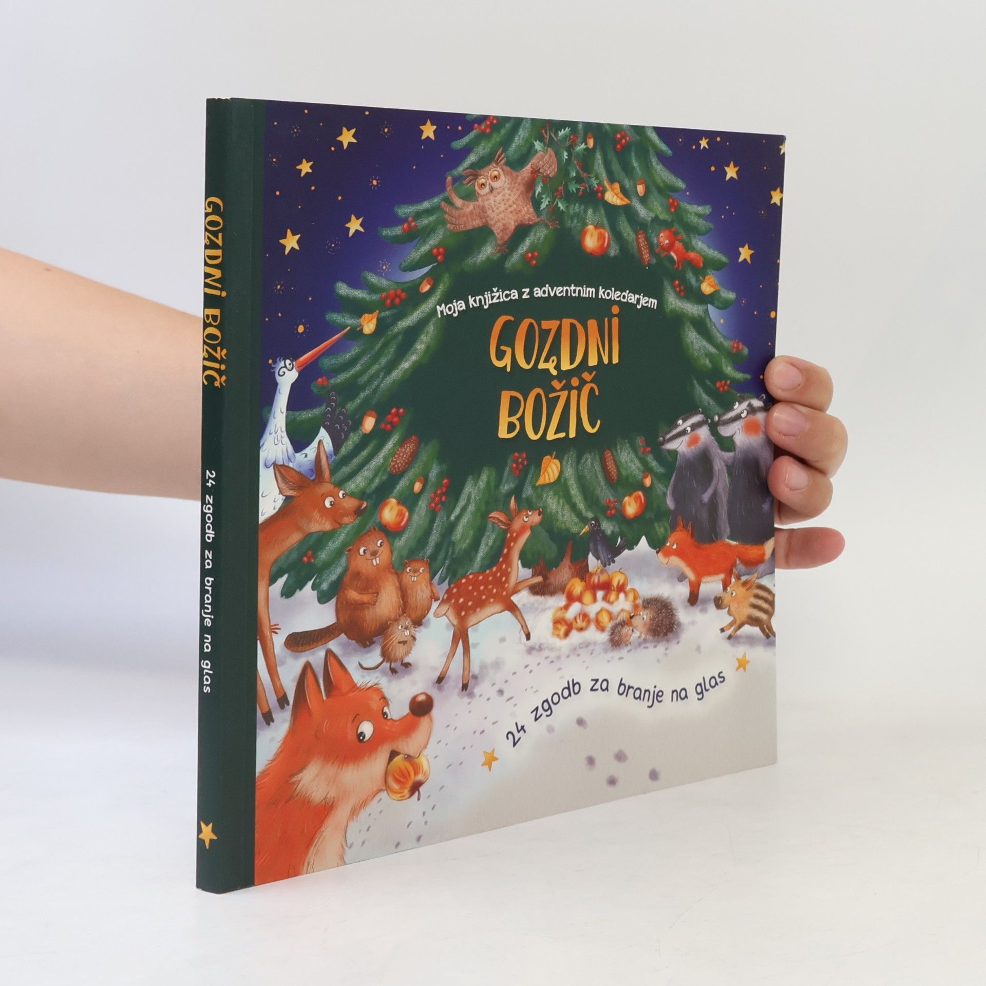 Collectif d'auteurs Gozdni božič