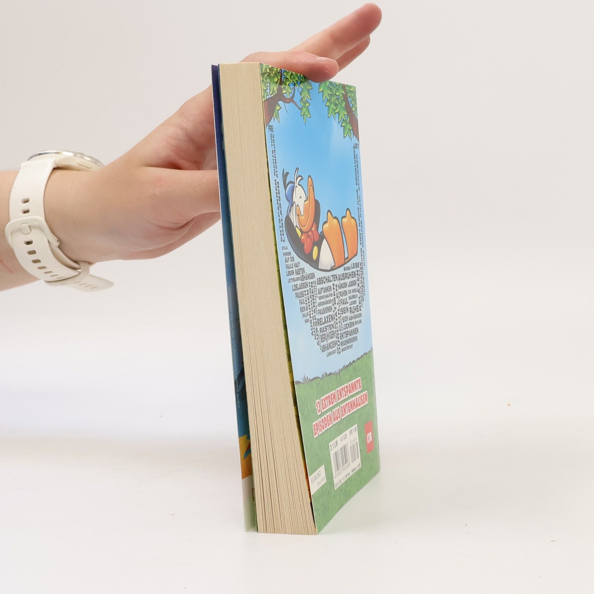 Walt Disney Lustiges Taschenbuch 484. Einfach abhängen