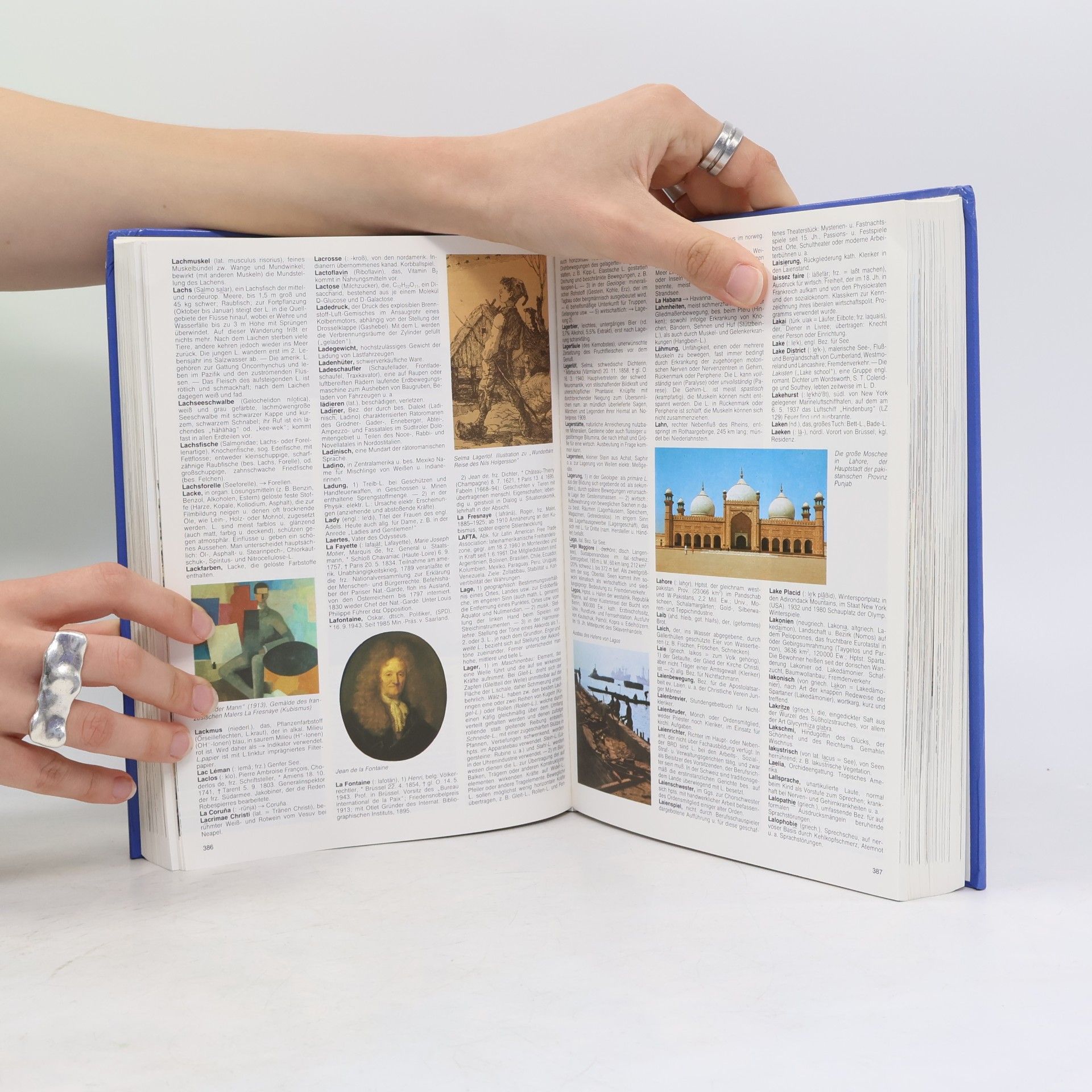 Autorenkollektiv Grosses Universal Lexikon in Farbe