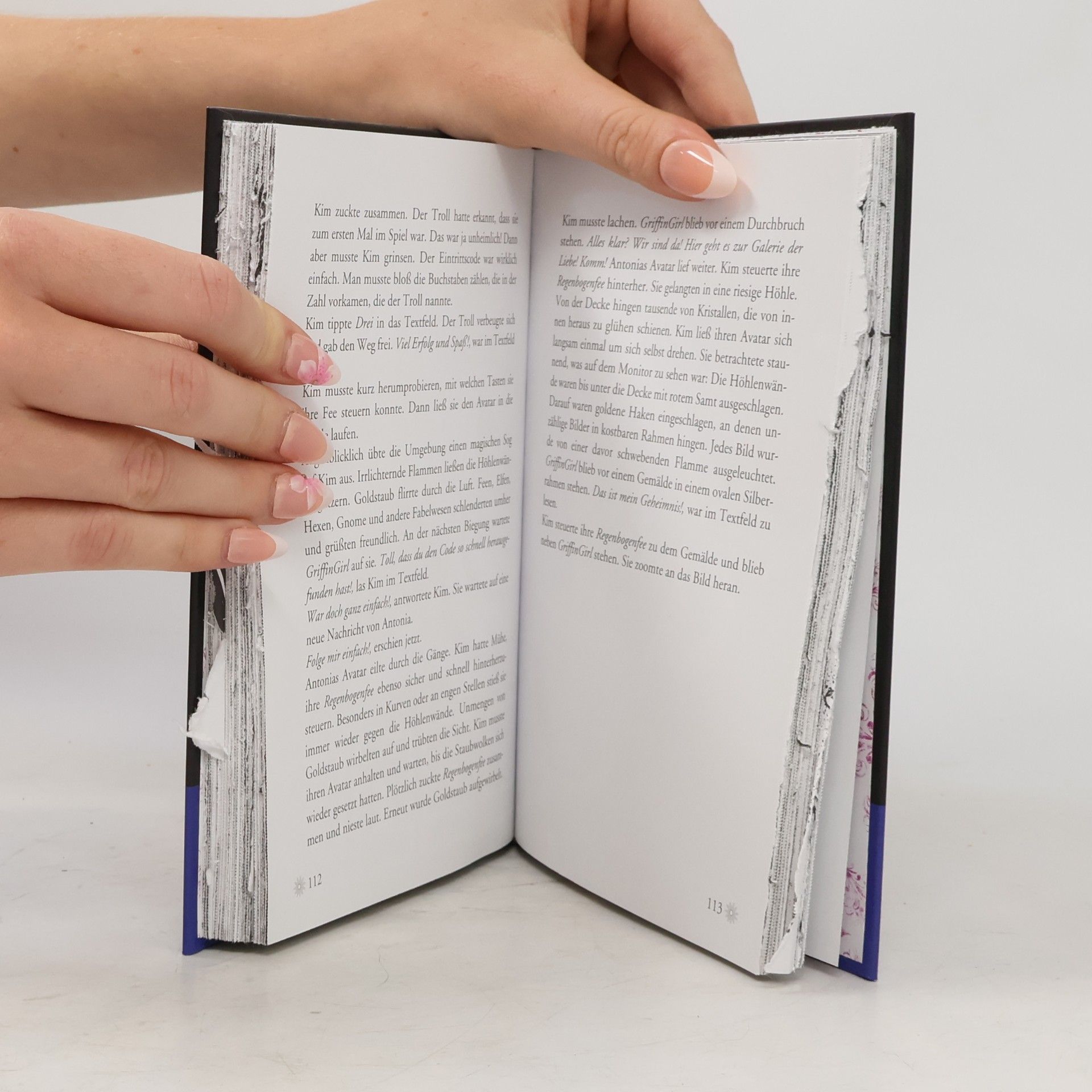 Mira Sol Die drei !!! - das geheime Buch