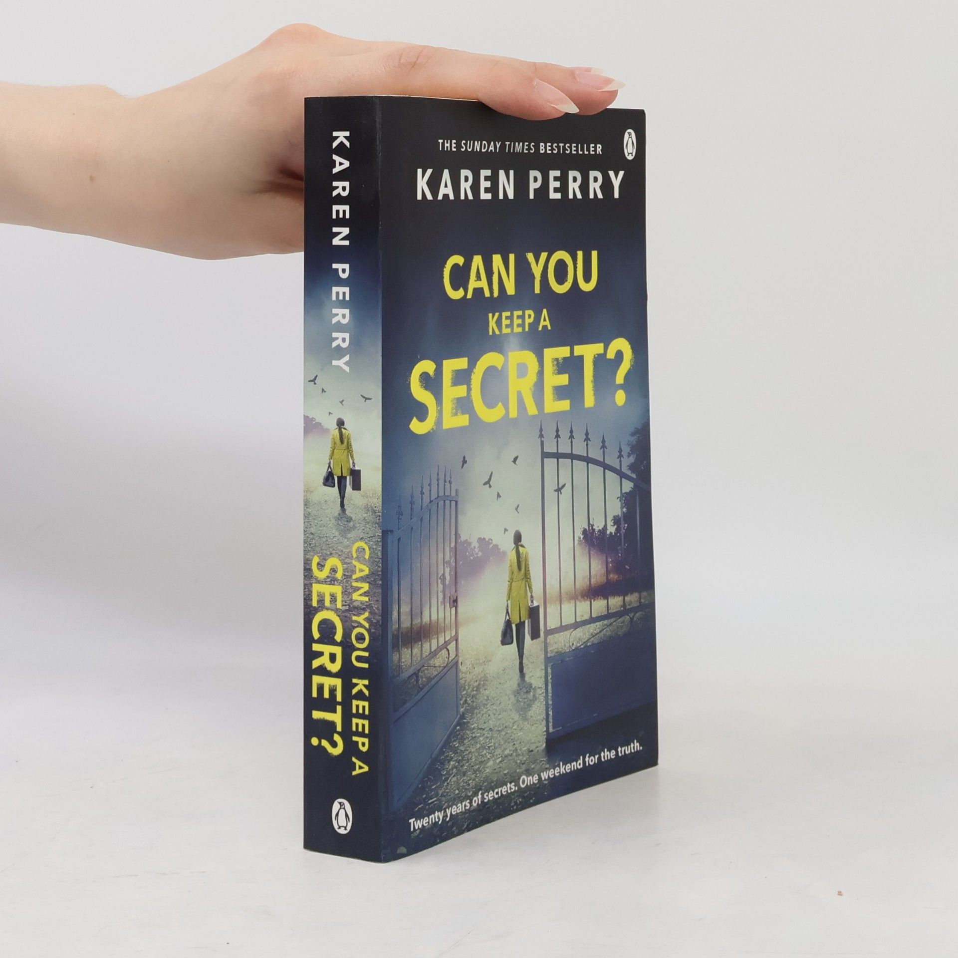 Karen Perry Can You Keep A Secret?