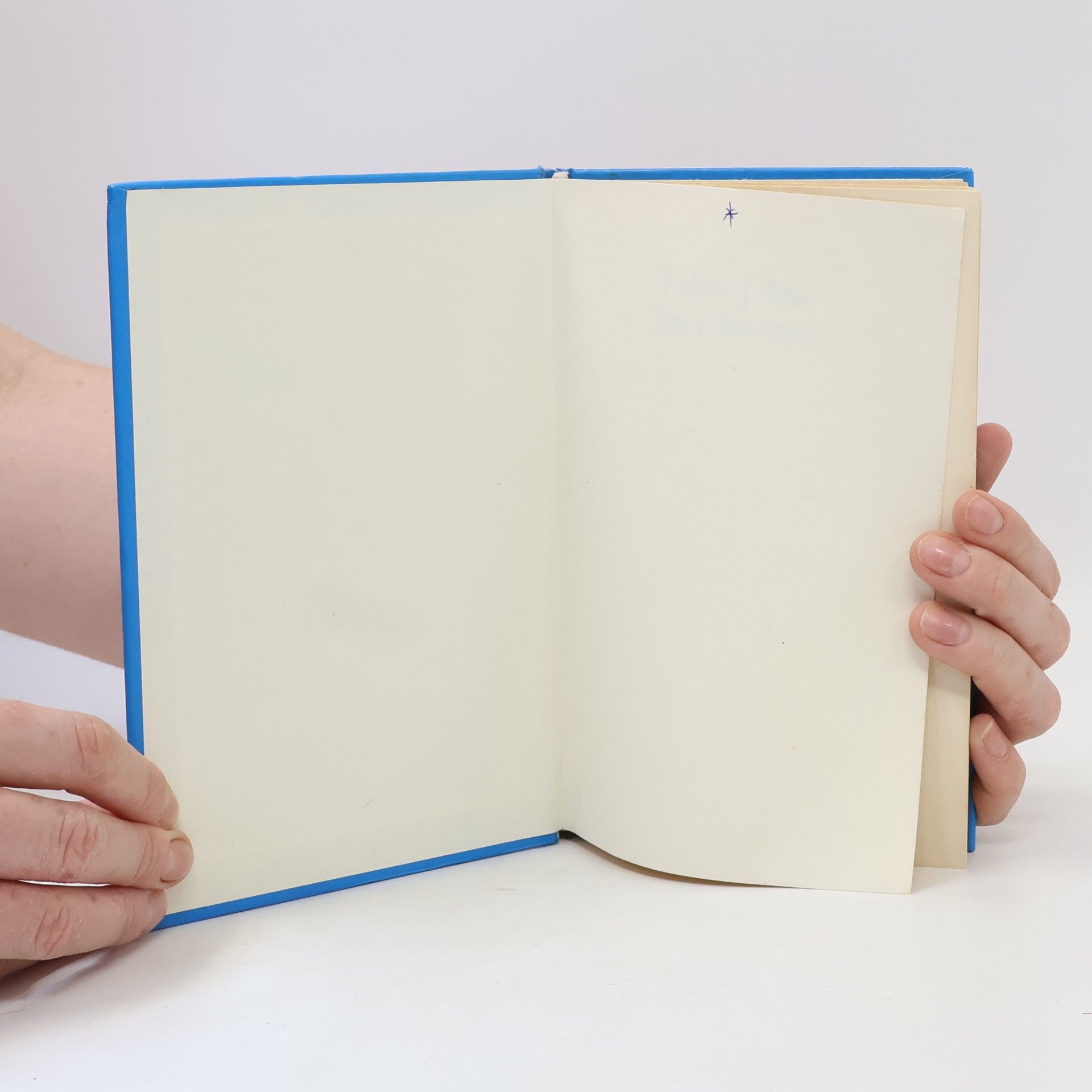 Jacqueline Wilson V hlavnej úlohe Tracy Beakerová