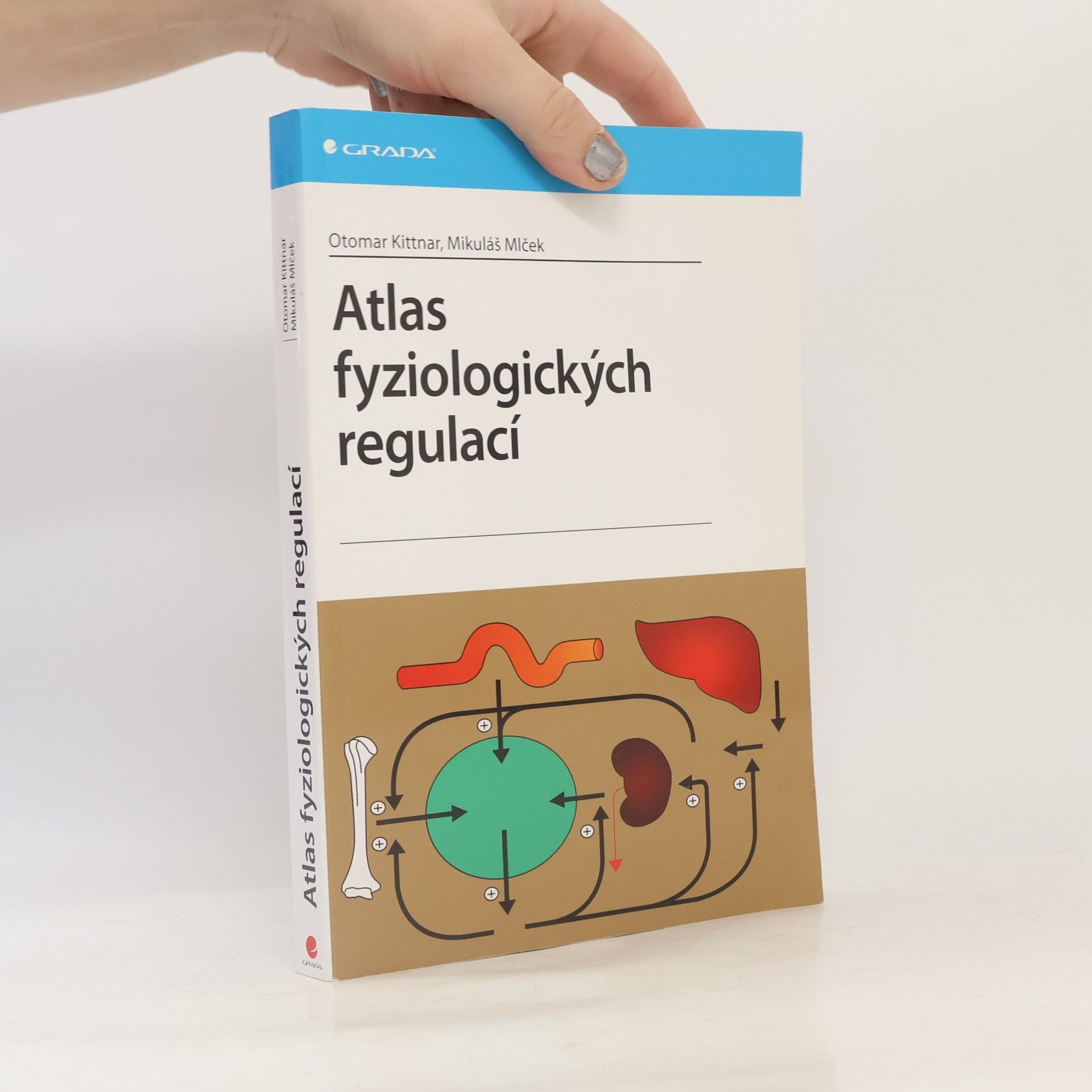 Atlas fyziologických regulací. 329 schémat