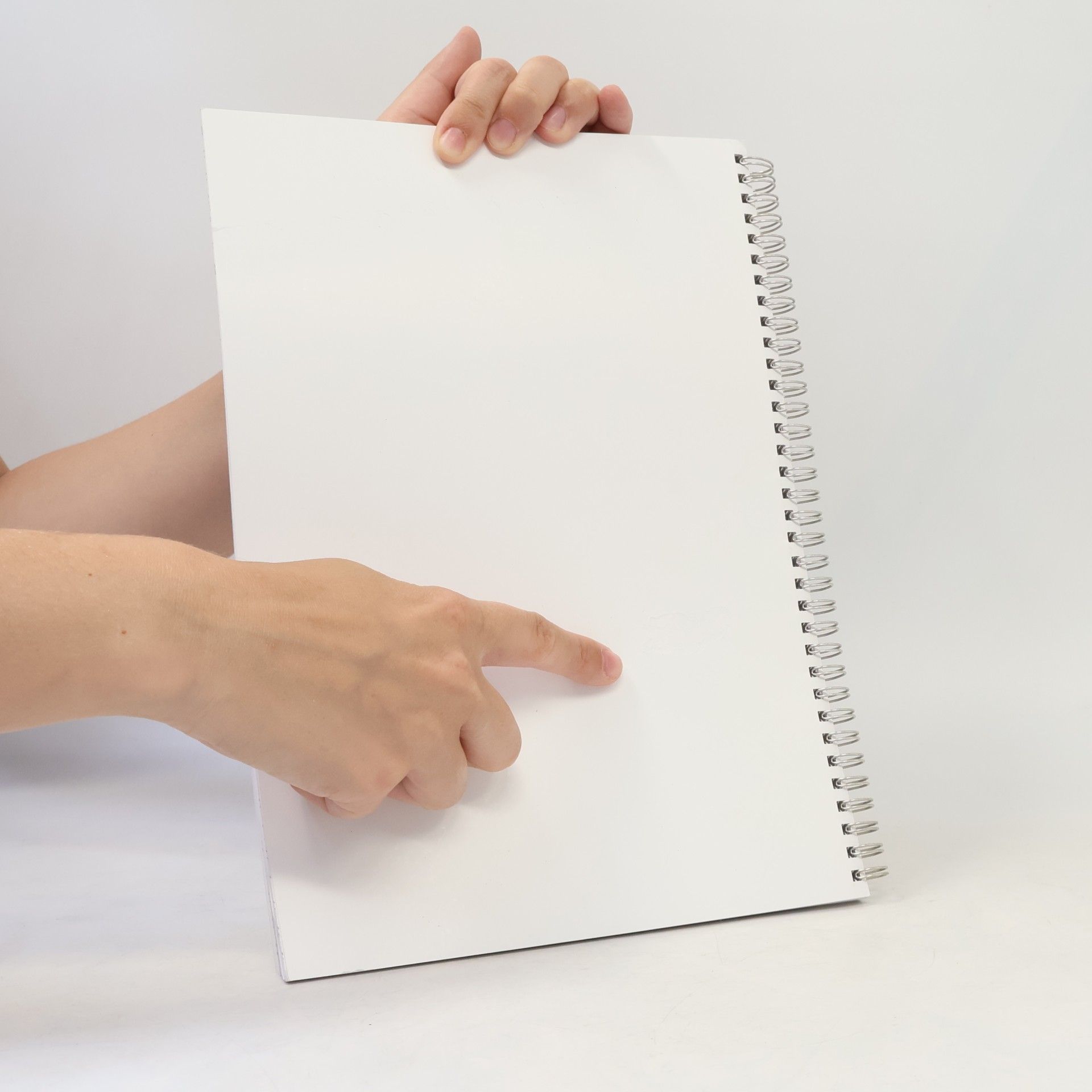 Brigitta Schmidt Arbeitsbuch
