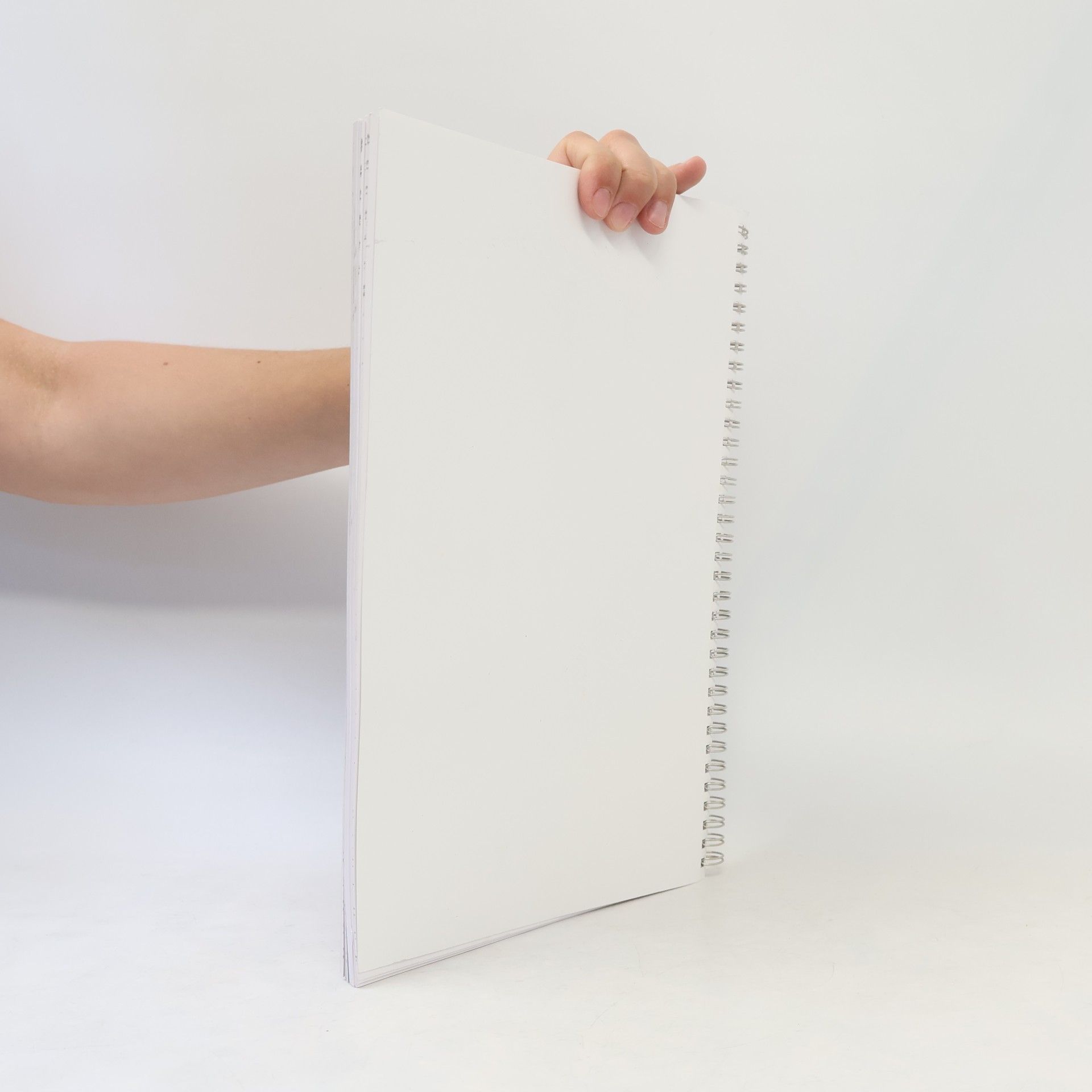 Brigitta Schmidt Arbeitsbuch