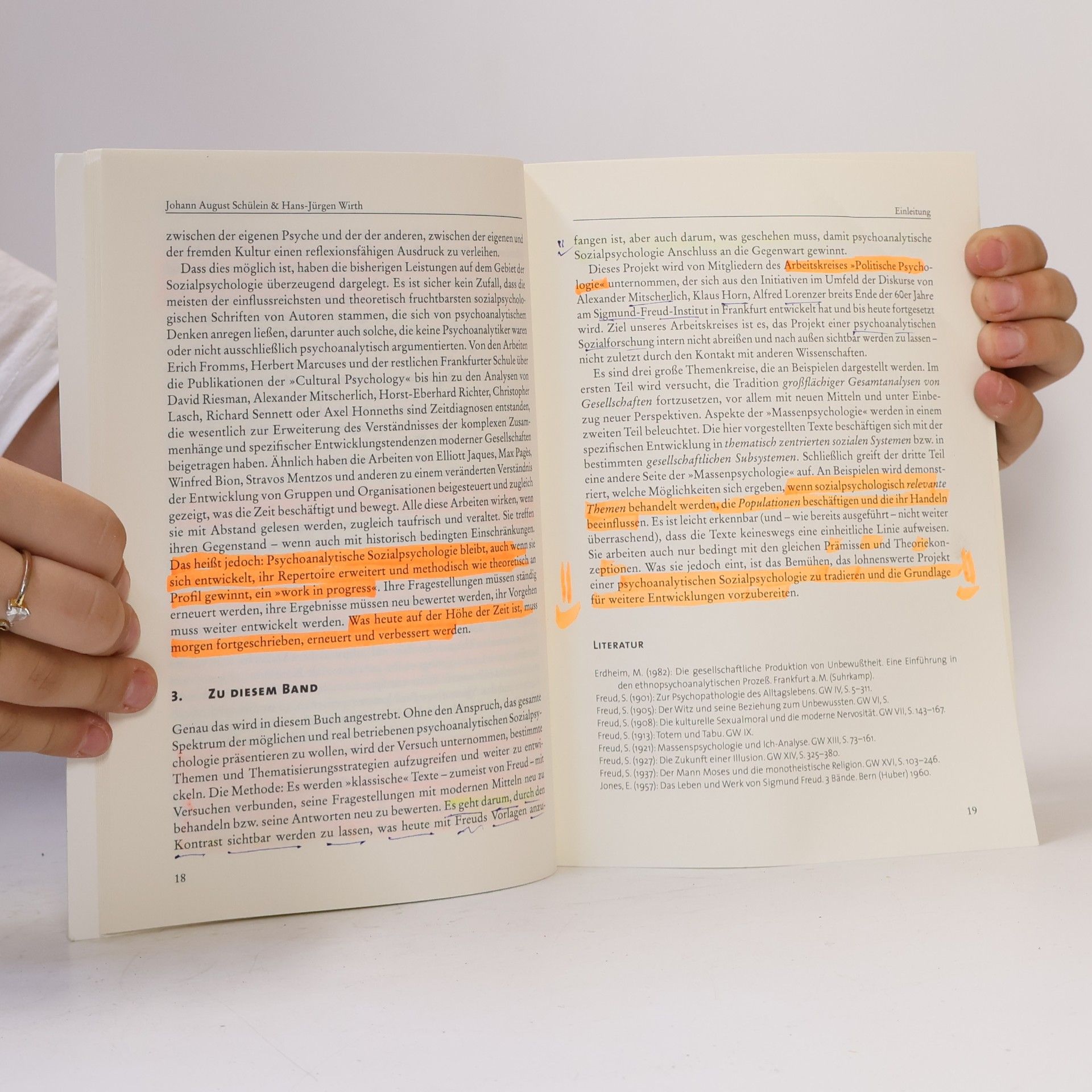 Johann August Schülein Analytische Sozialpsychologie