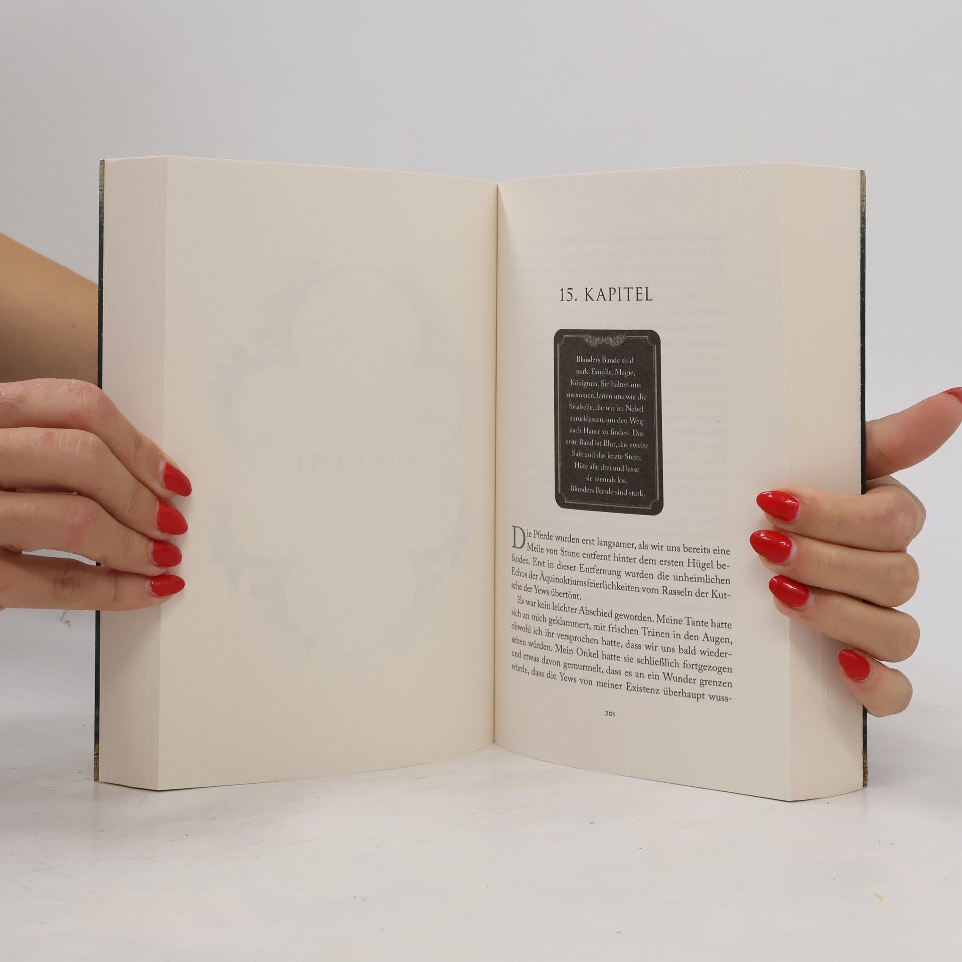 Rachel Gillig One Dark Window - Die Schatten zwischen uns