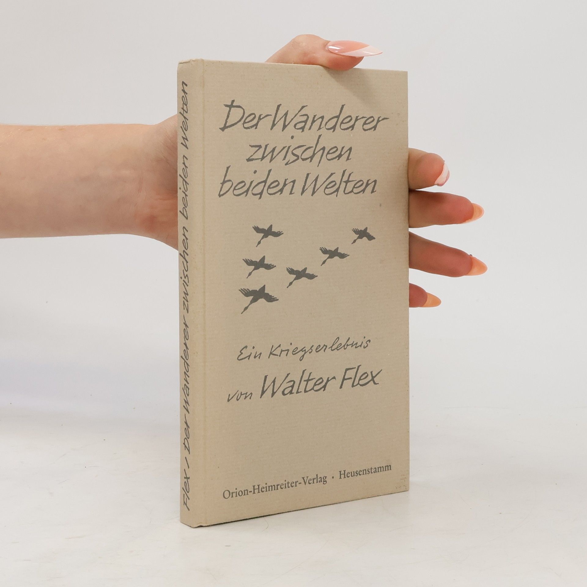 Walter Flex Der Wanderer zwischen beiden Welten
