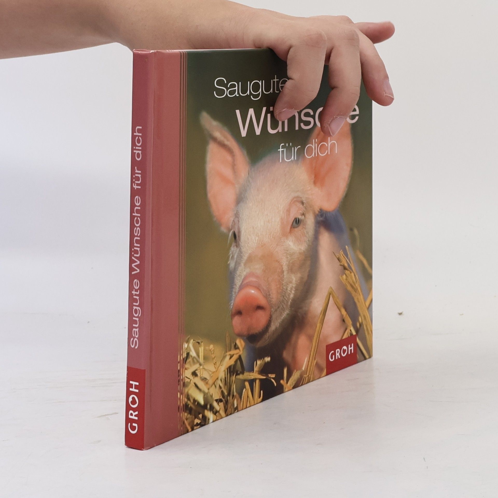 Dorothée Bleker Saugute Wünsche für dich. Ich wünsch dir sauviel Glück!