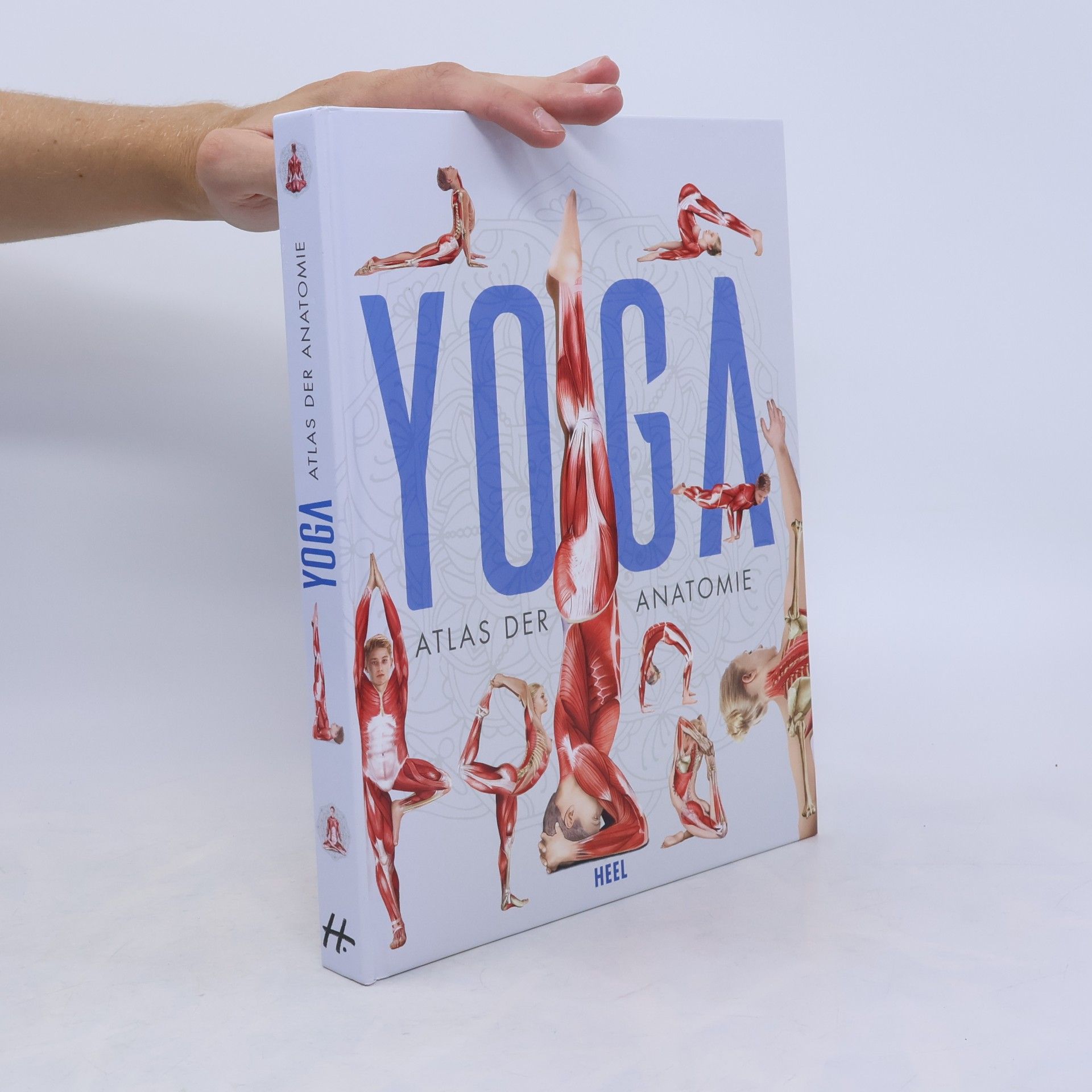 Svenja Tengs YOGA Anatomie-Atlas