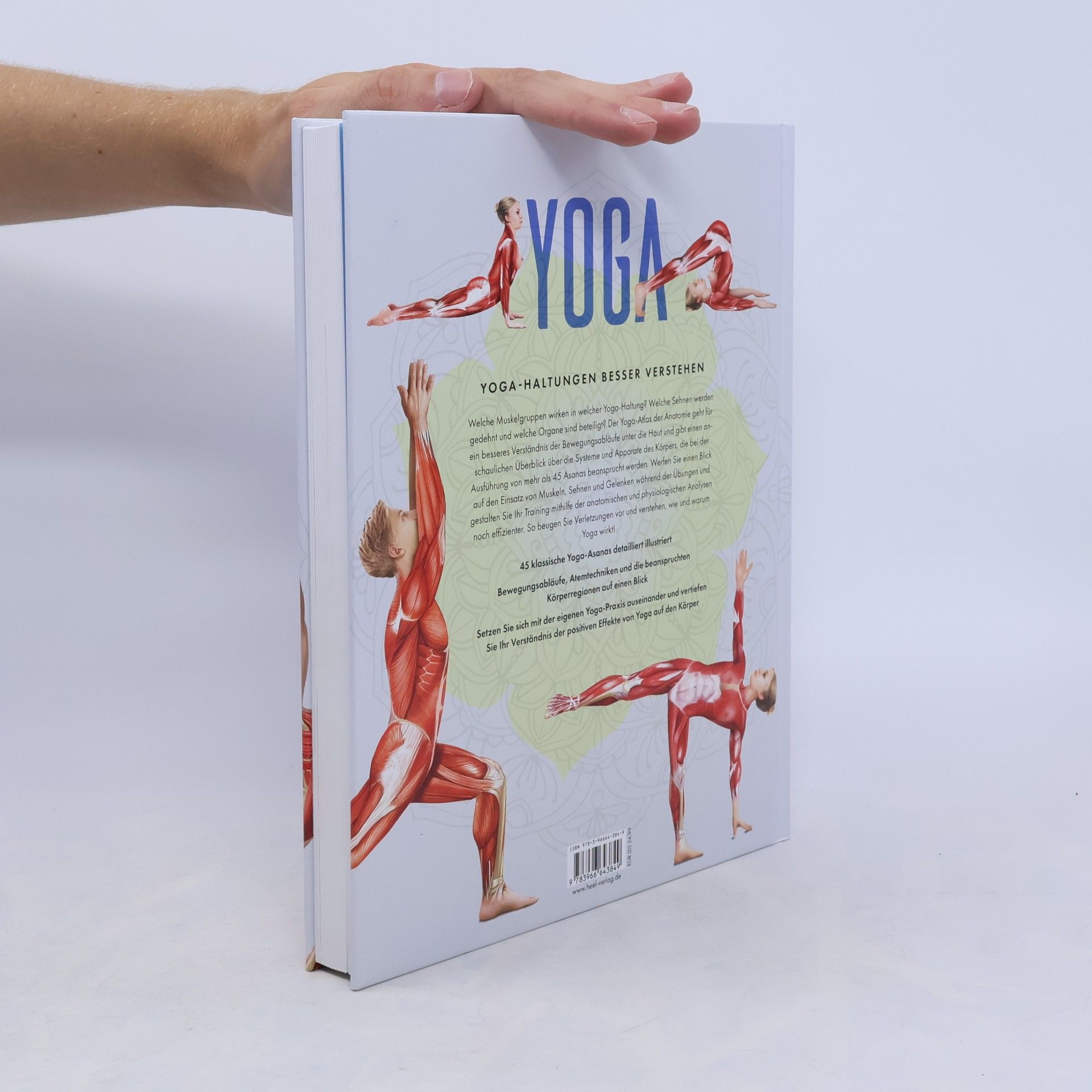 Svenja Tengs YOGA Anatomie-Atlas