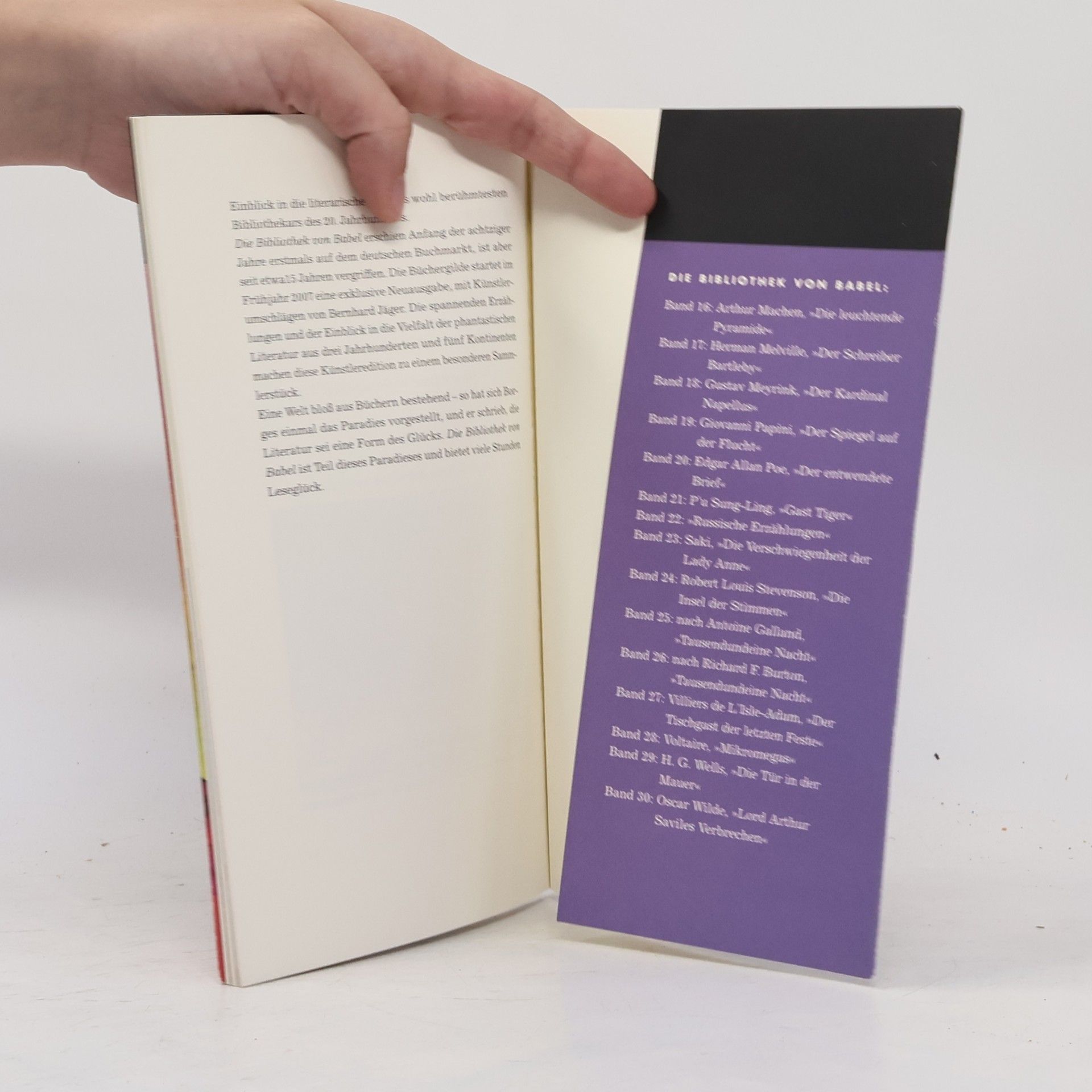 Jorge Luis Borges Die Bibliothek von Babel. Baue Tiger