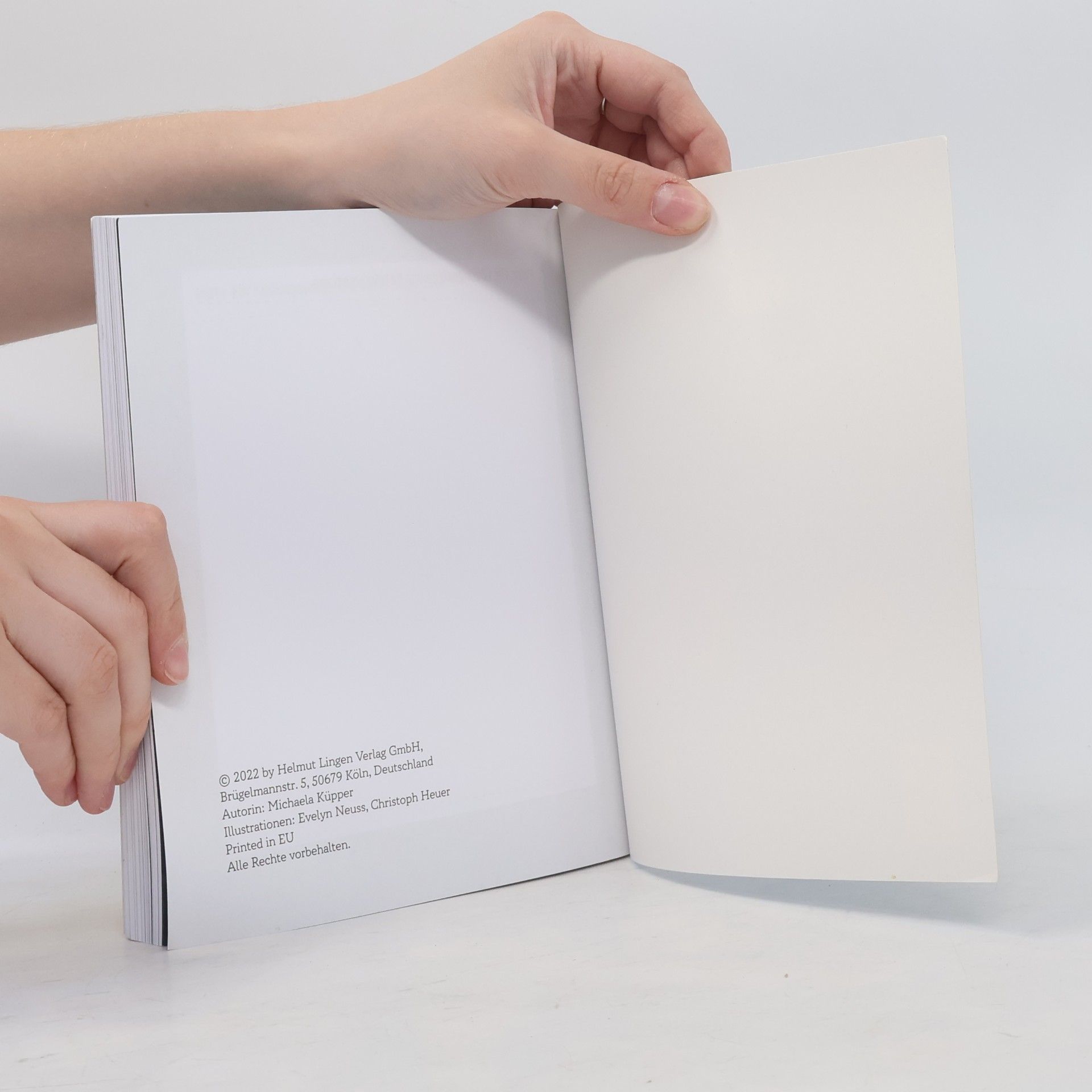Autorenkollektiv Escape Story Fab Four. Der verzwickte Kunstraub