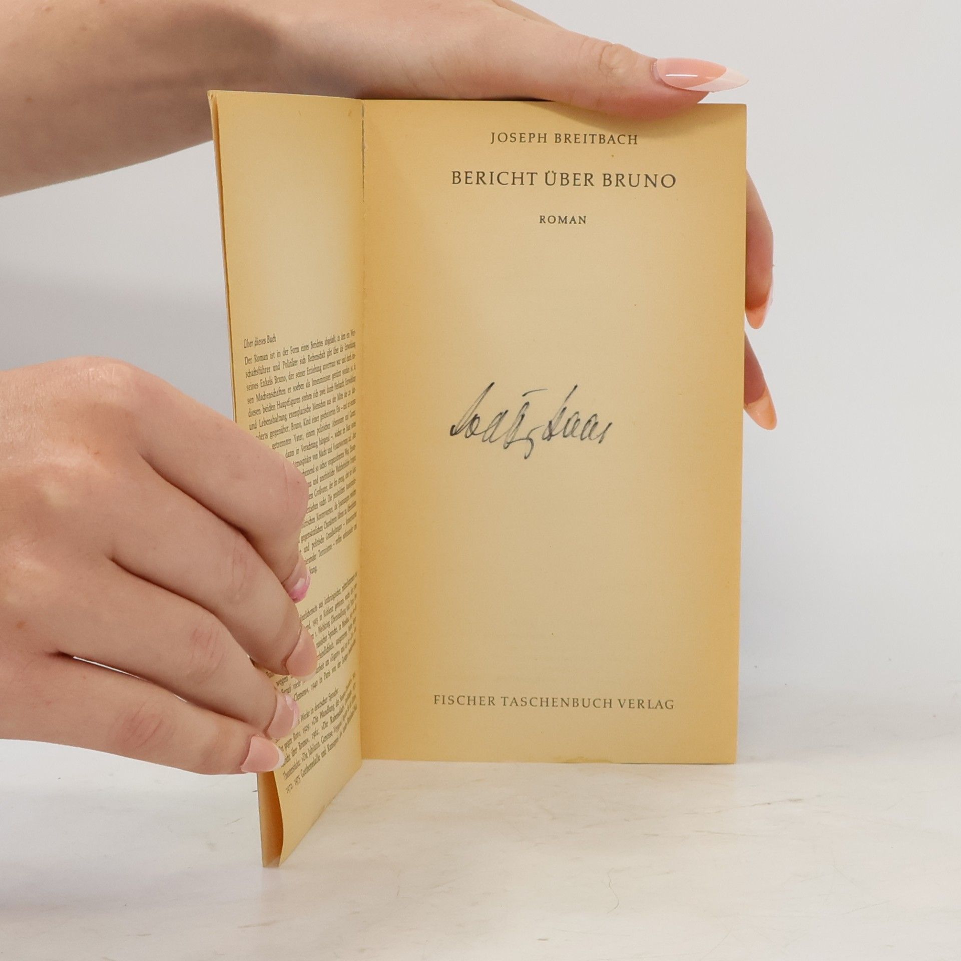 Joseph Breitbach Bericht über Bruno. Roman
