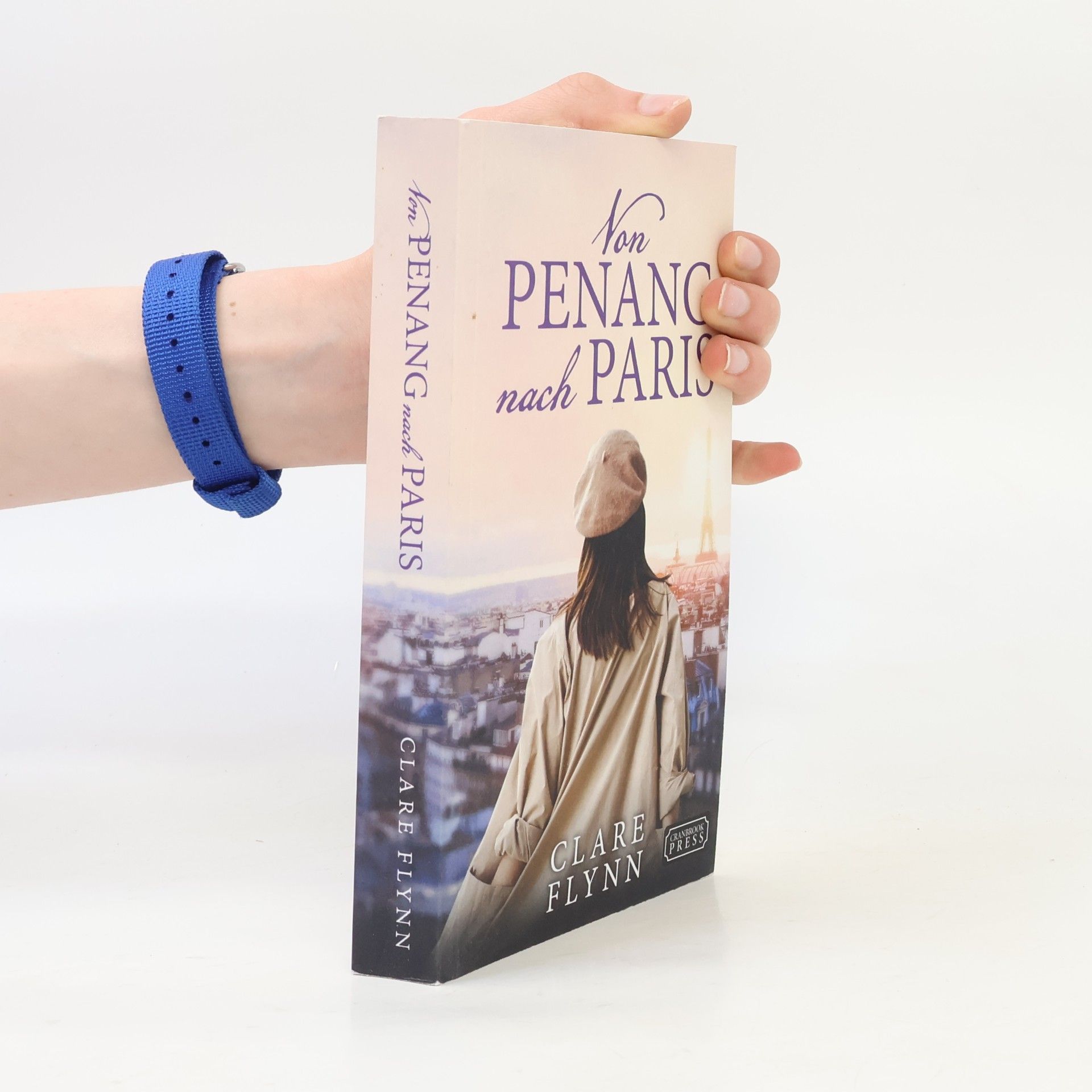Clare Flynn Penang Historischer Roman - 4: Von Penang nach Paris