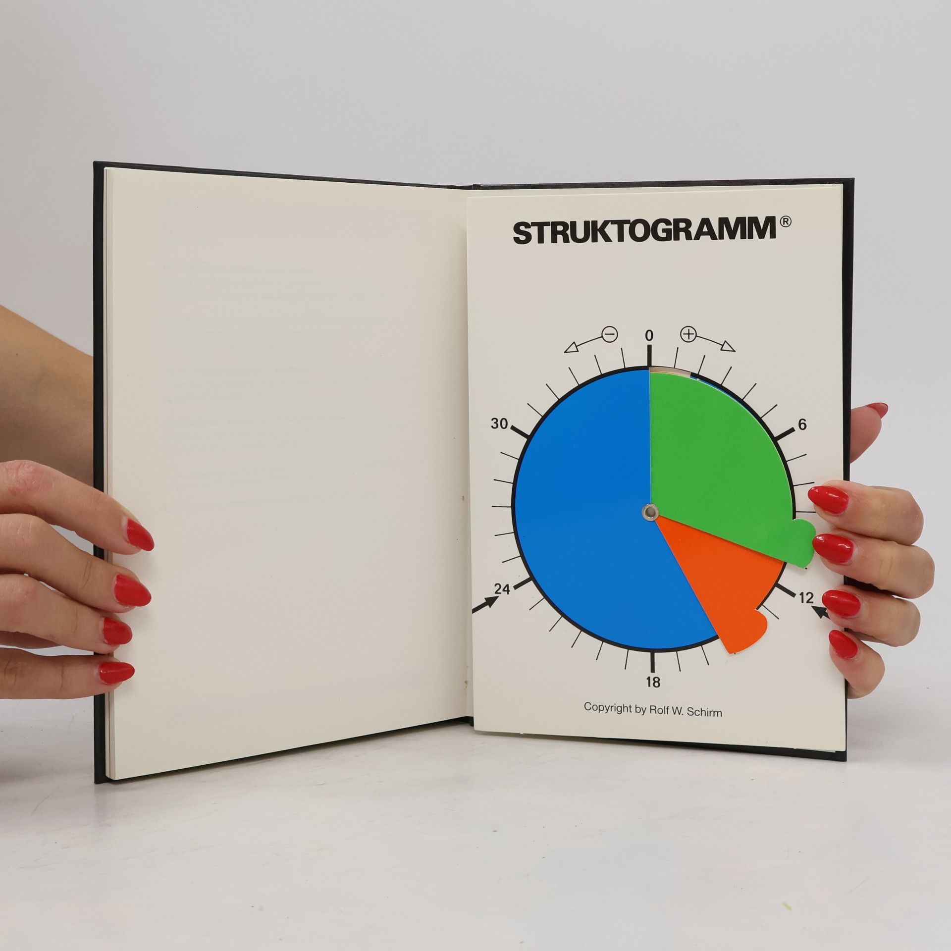 Rolf W. Schirm Die Biostruktur-Analyse 1