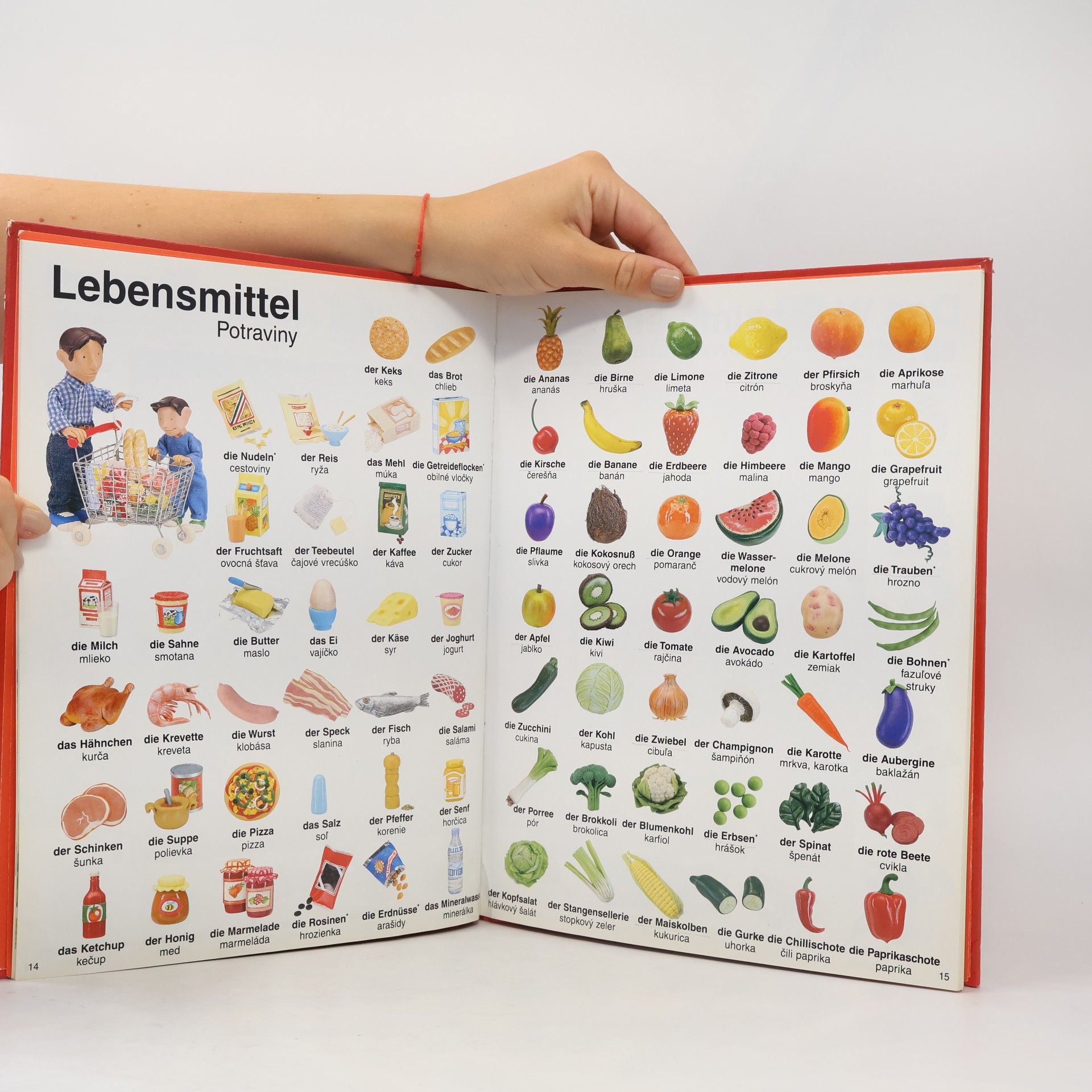Autorenkollektiv Nemecké slová na každý deň: Obrázkový slovník