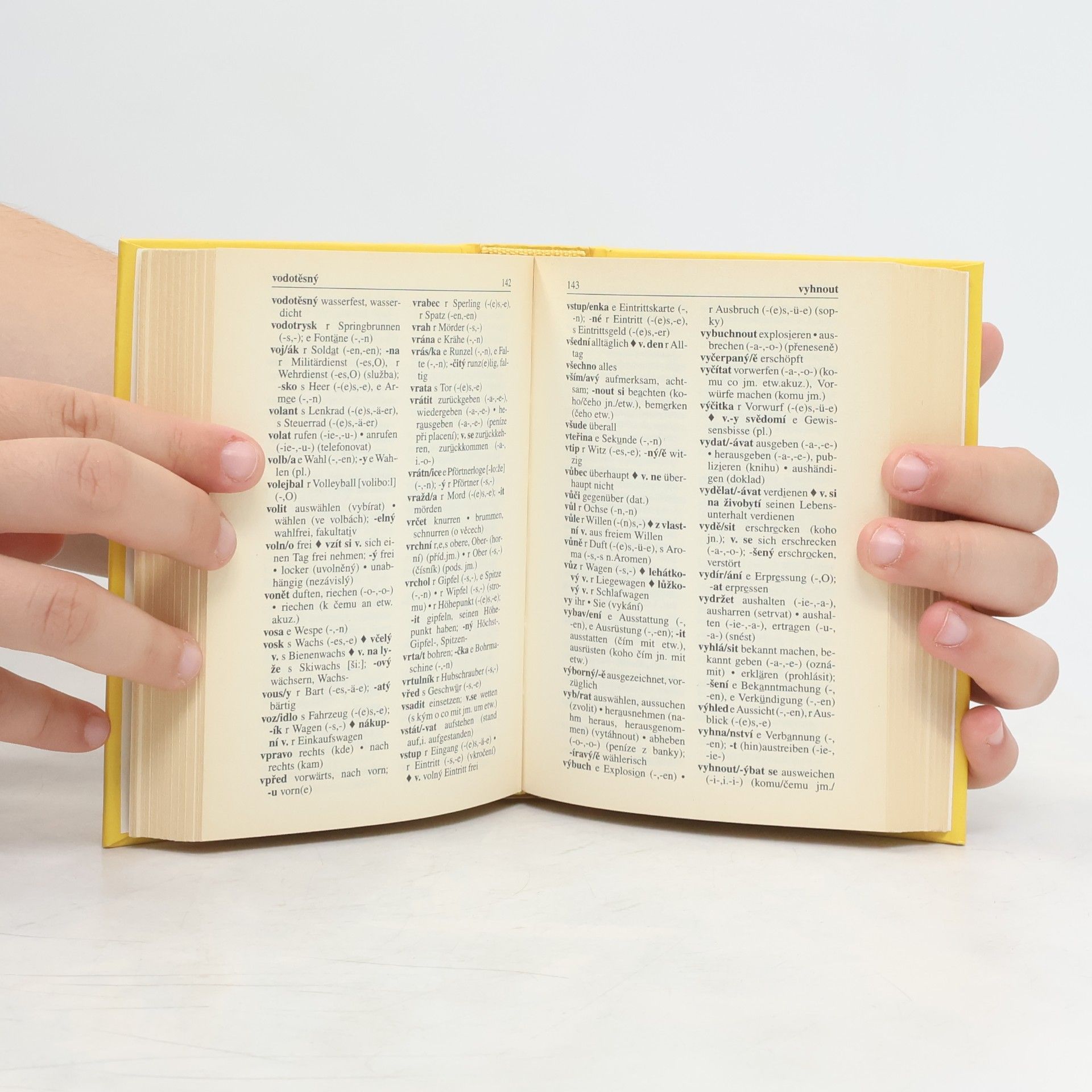 Autorenkollektiv Česko-německý, německo-český kapesní slovník