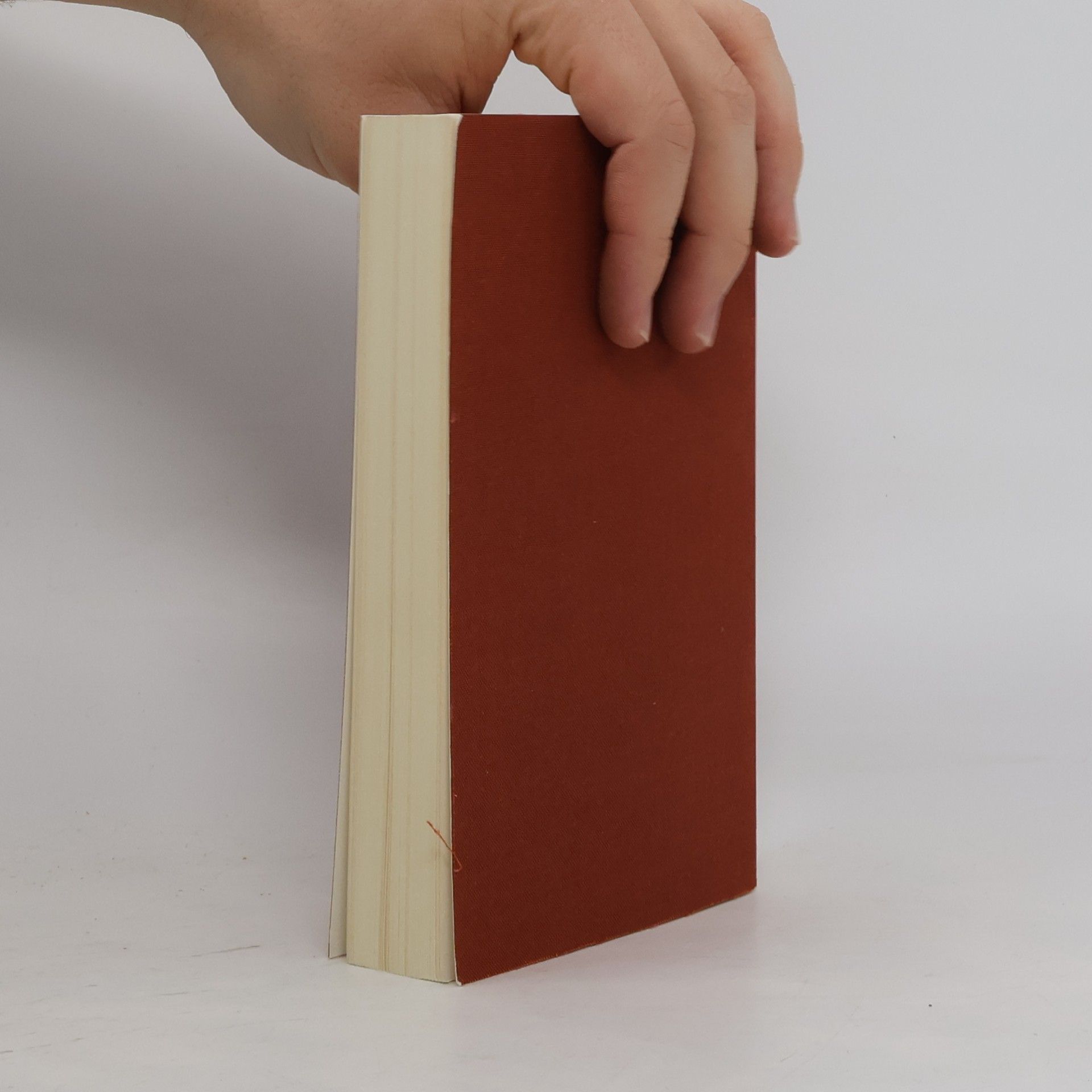 Walter Benjamin Gesammelte Schriften Band IV-1