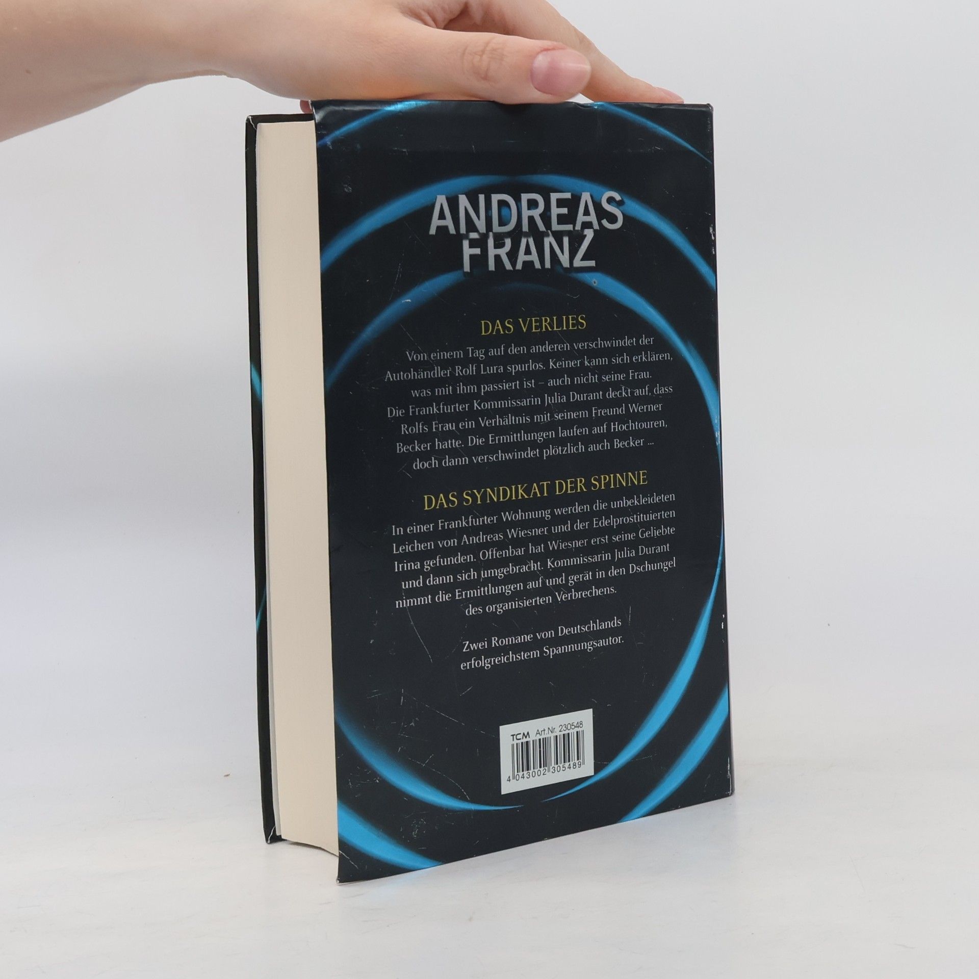 Andreas Franz Das Verlies. Das Syndikat der Spinne