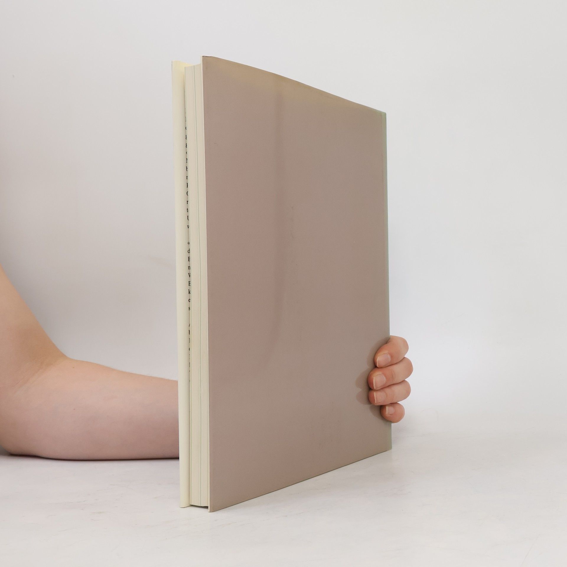 Bice Curiger Meret Oppenheim