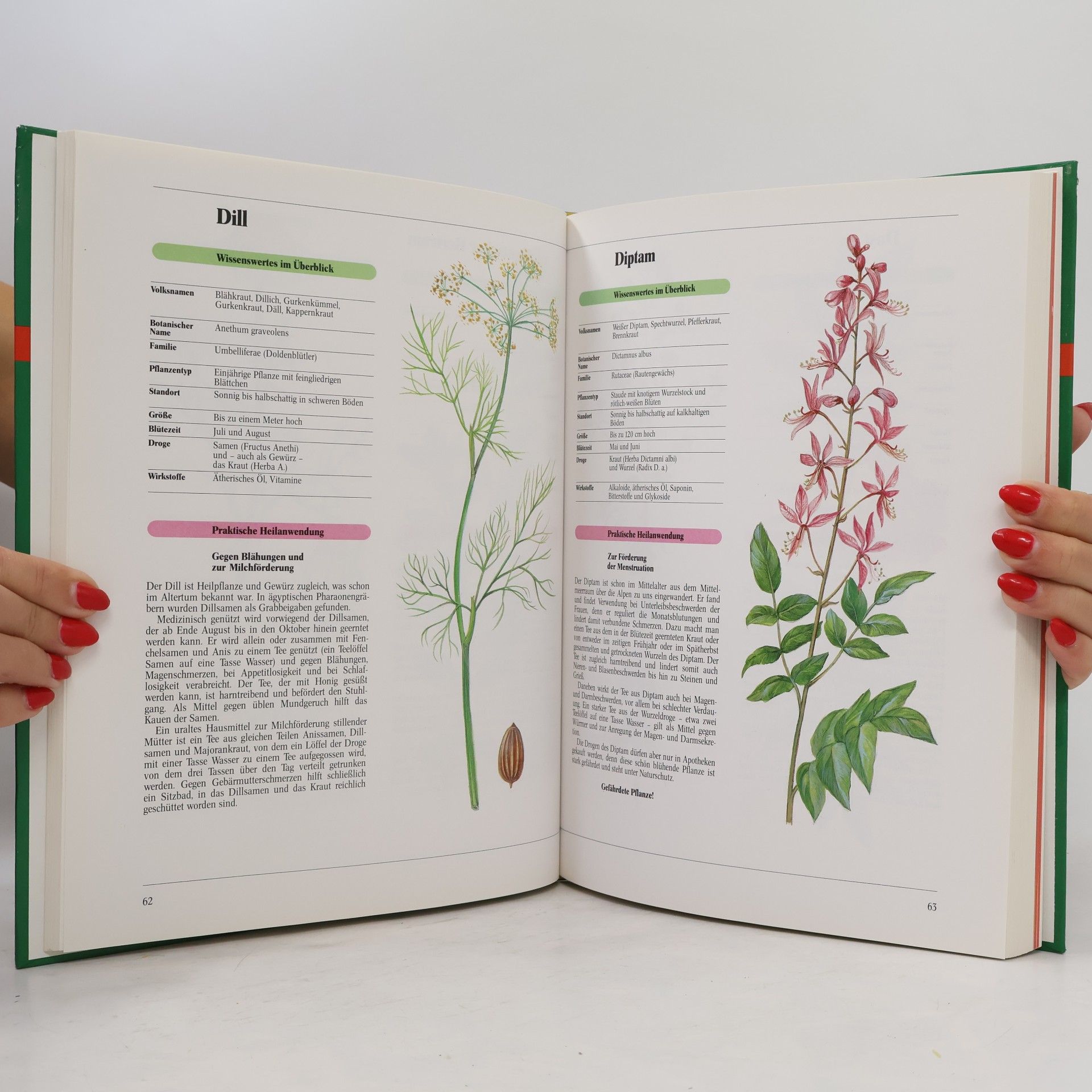 Peter Klaucke Der Naturdoktor. Gesundheit aus Heilpflanzen.