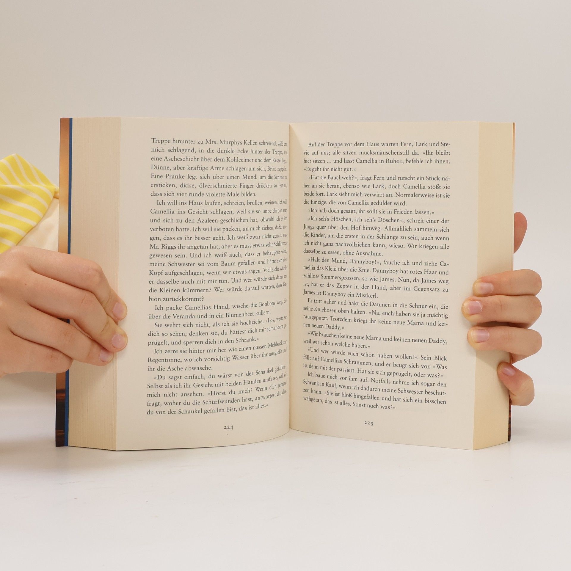 Lisa Wingate Libellenschwestern