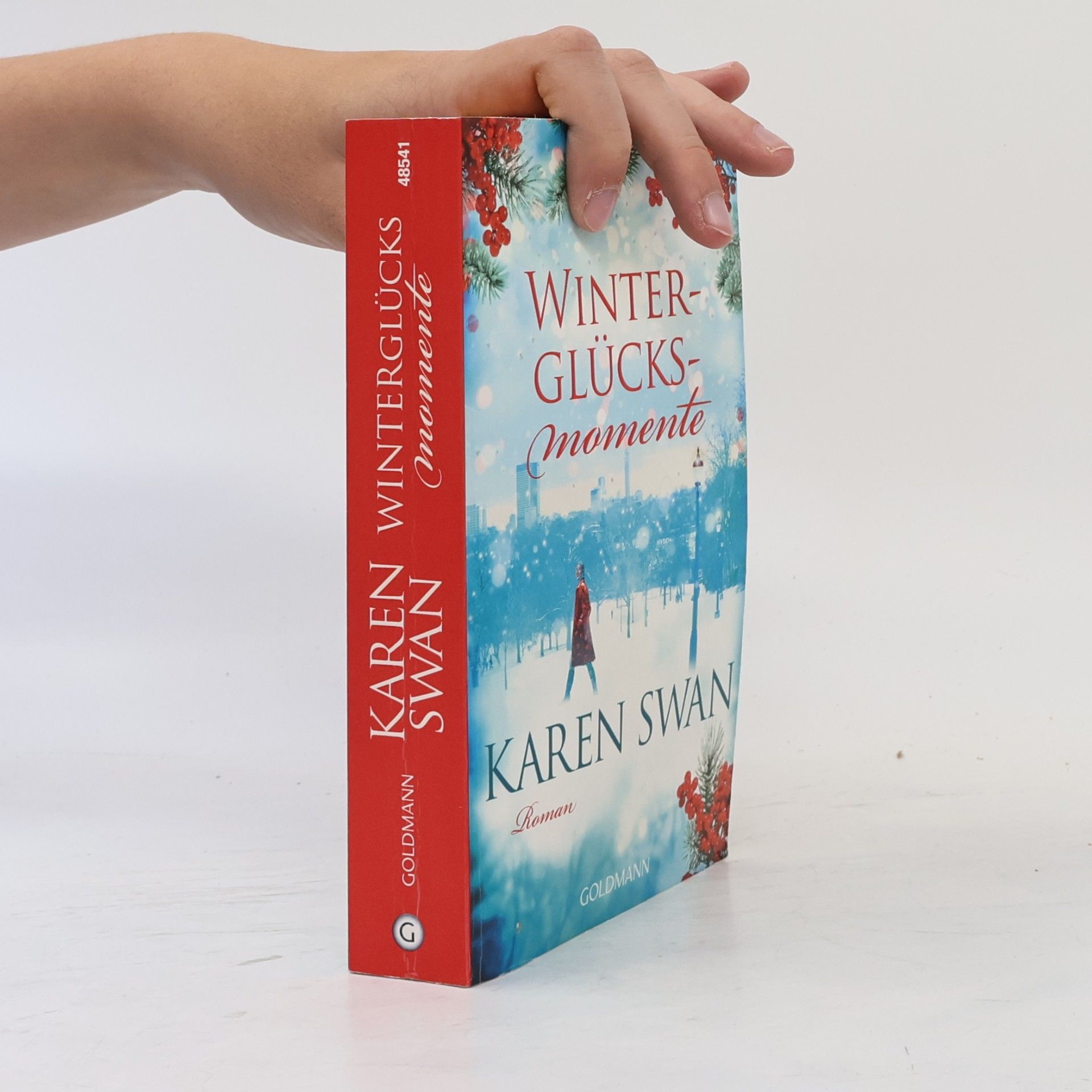 Karen Swan Winterglücksmomente