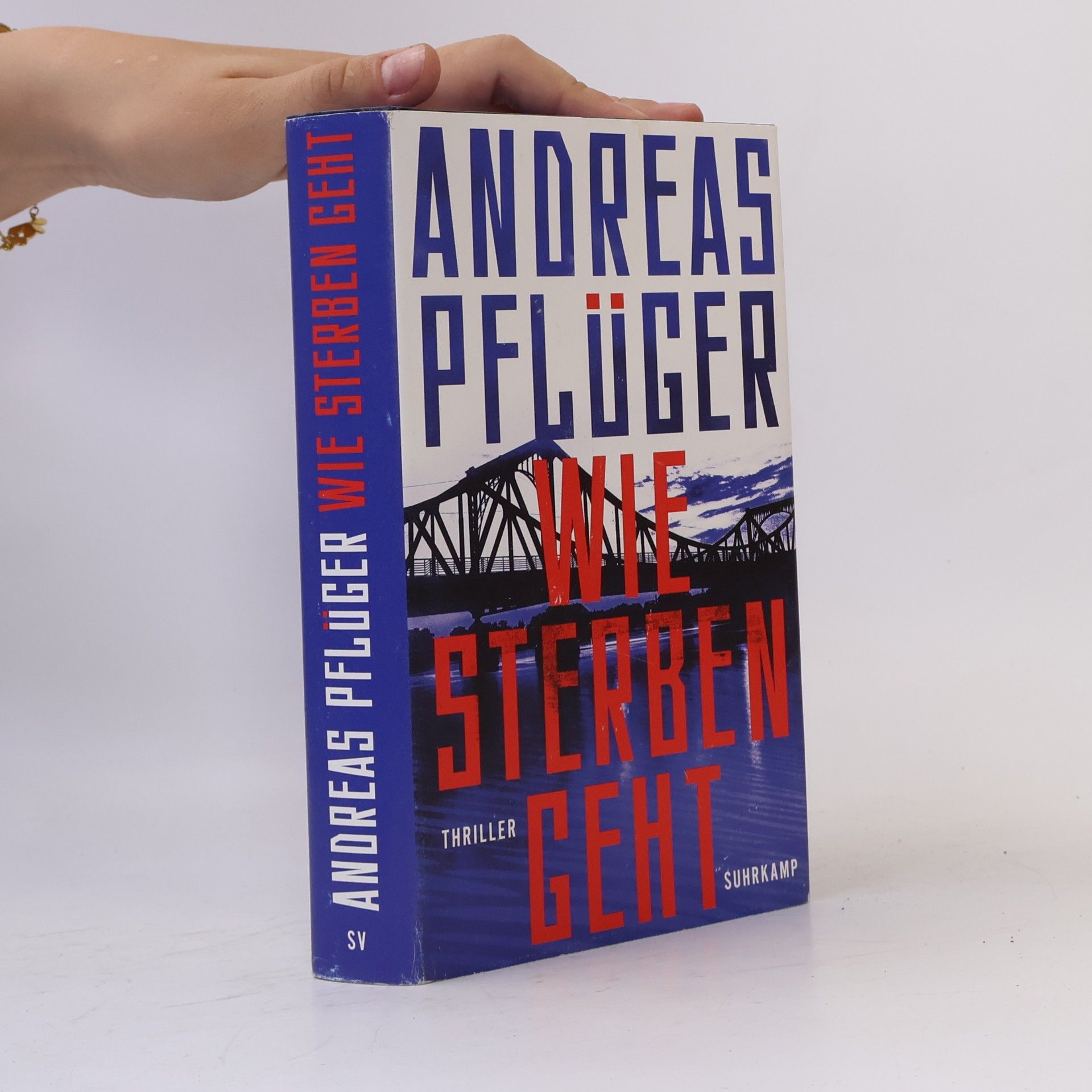 Andreas Pflüger Wie Sterben geht