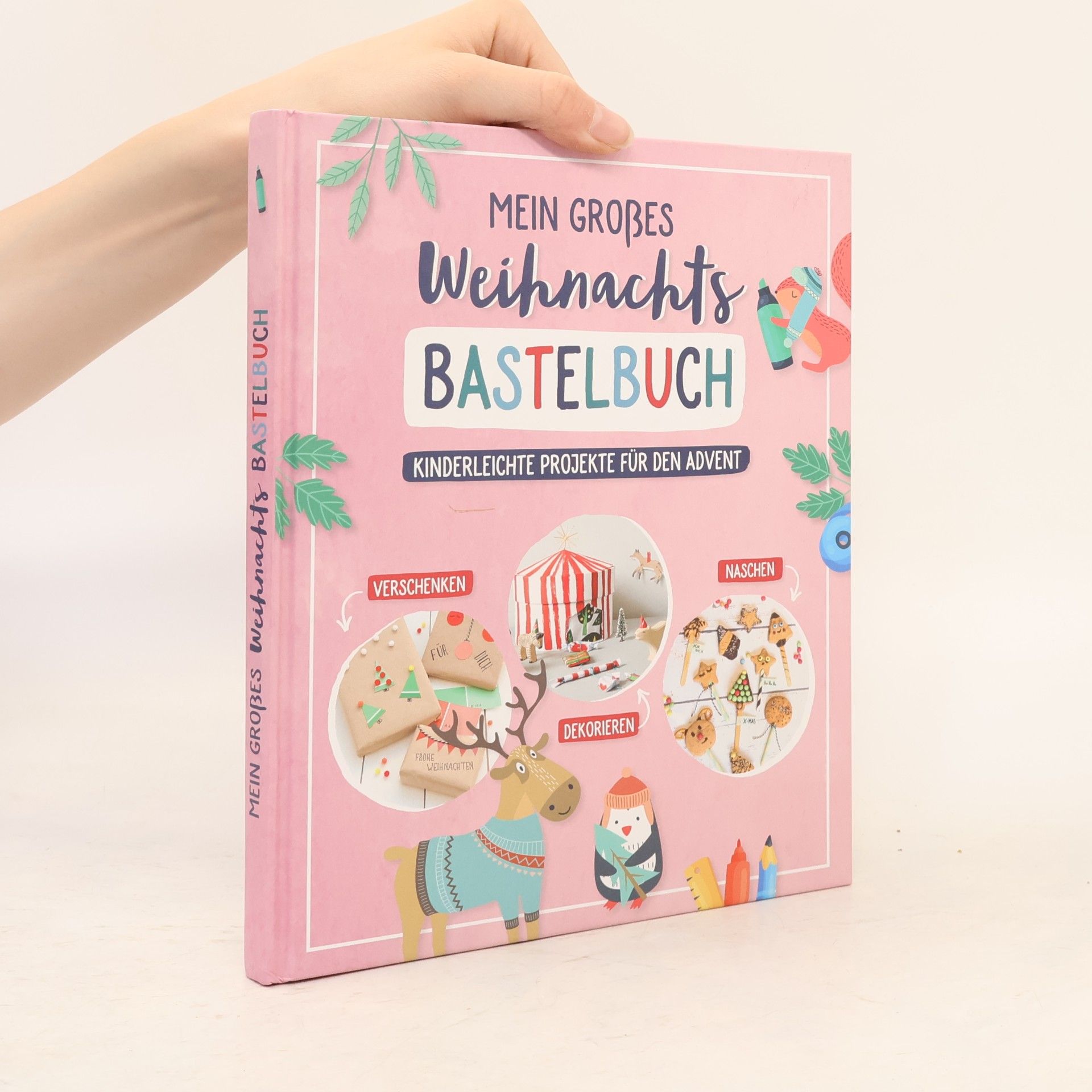Various authors Mein großes Weihnachts-Bastelbuch