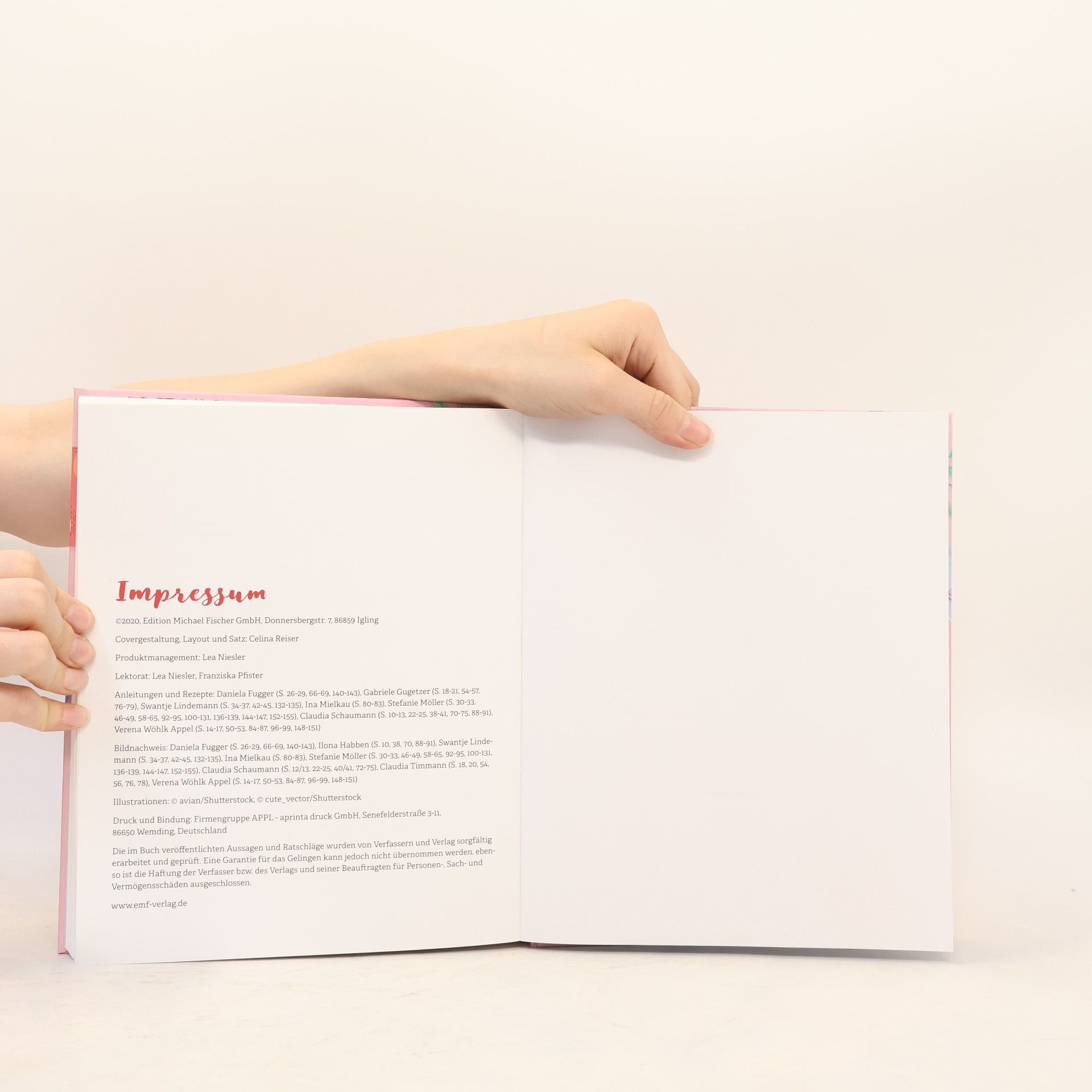 Various authors Mein großes Weihnachts-Bastelbuch