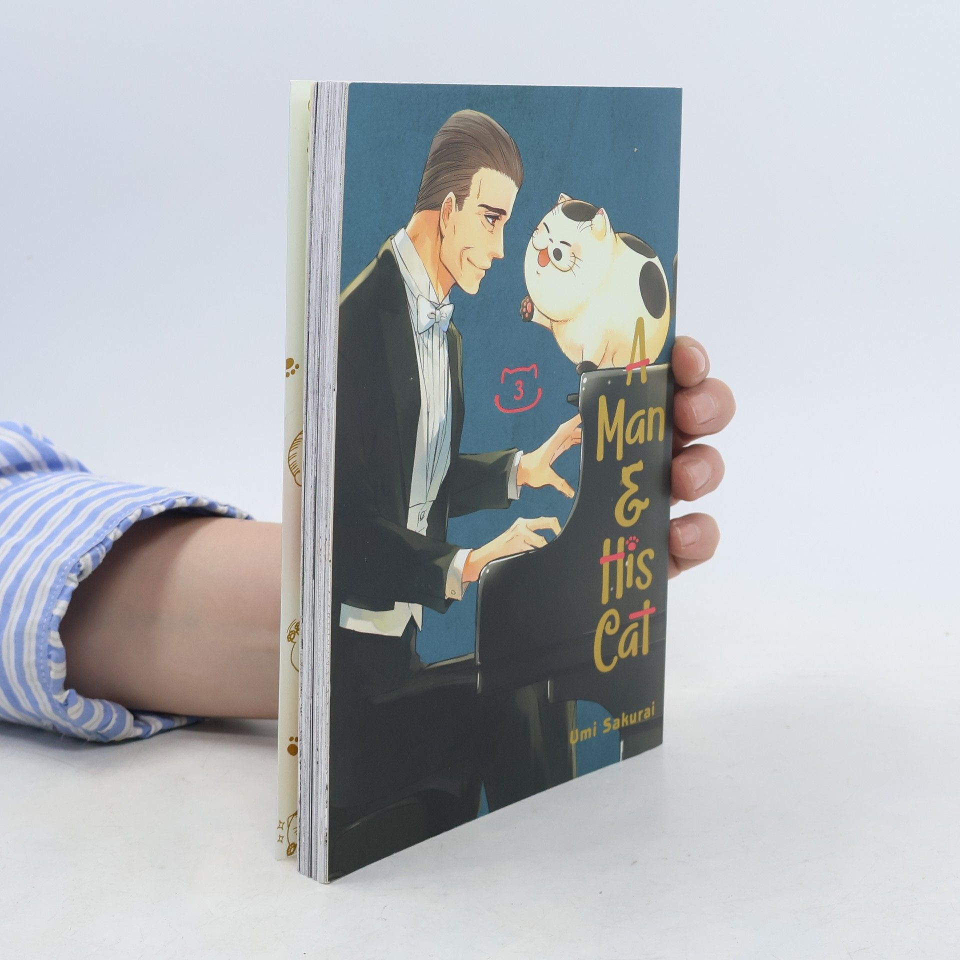 Umi Sakurai A Man and His Cat. Volume 3