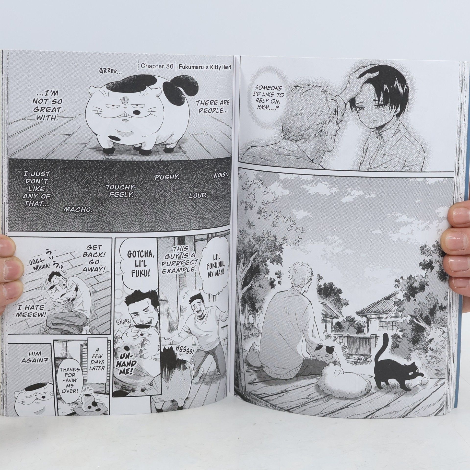 Umi Sakurai A Man and His Cat. Volume 3