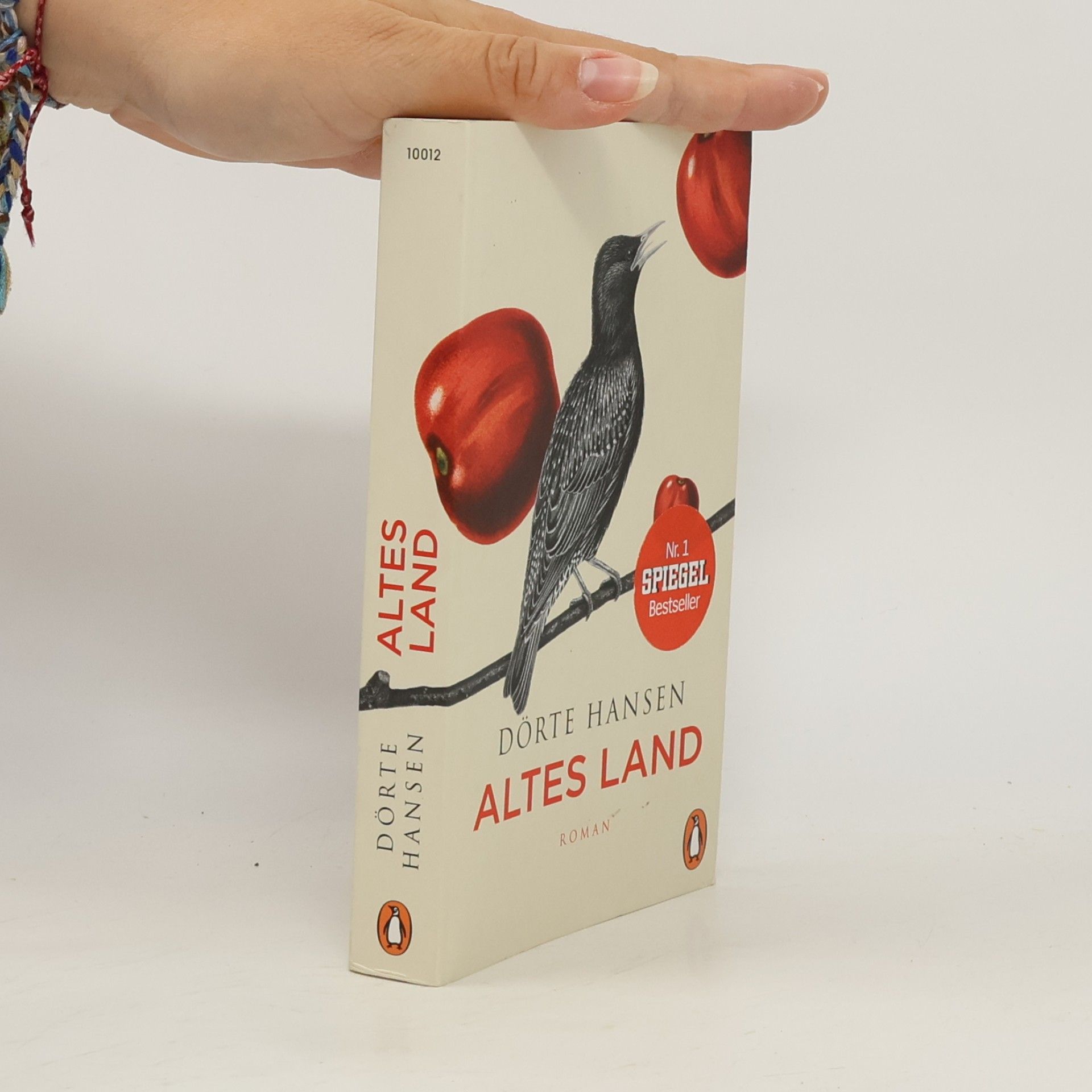 Dörte Hansen Altes Land