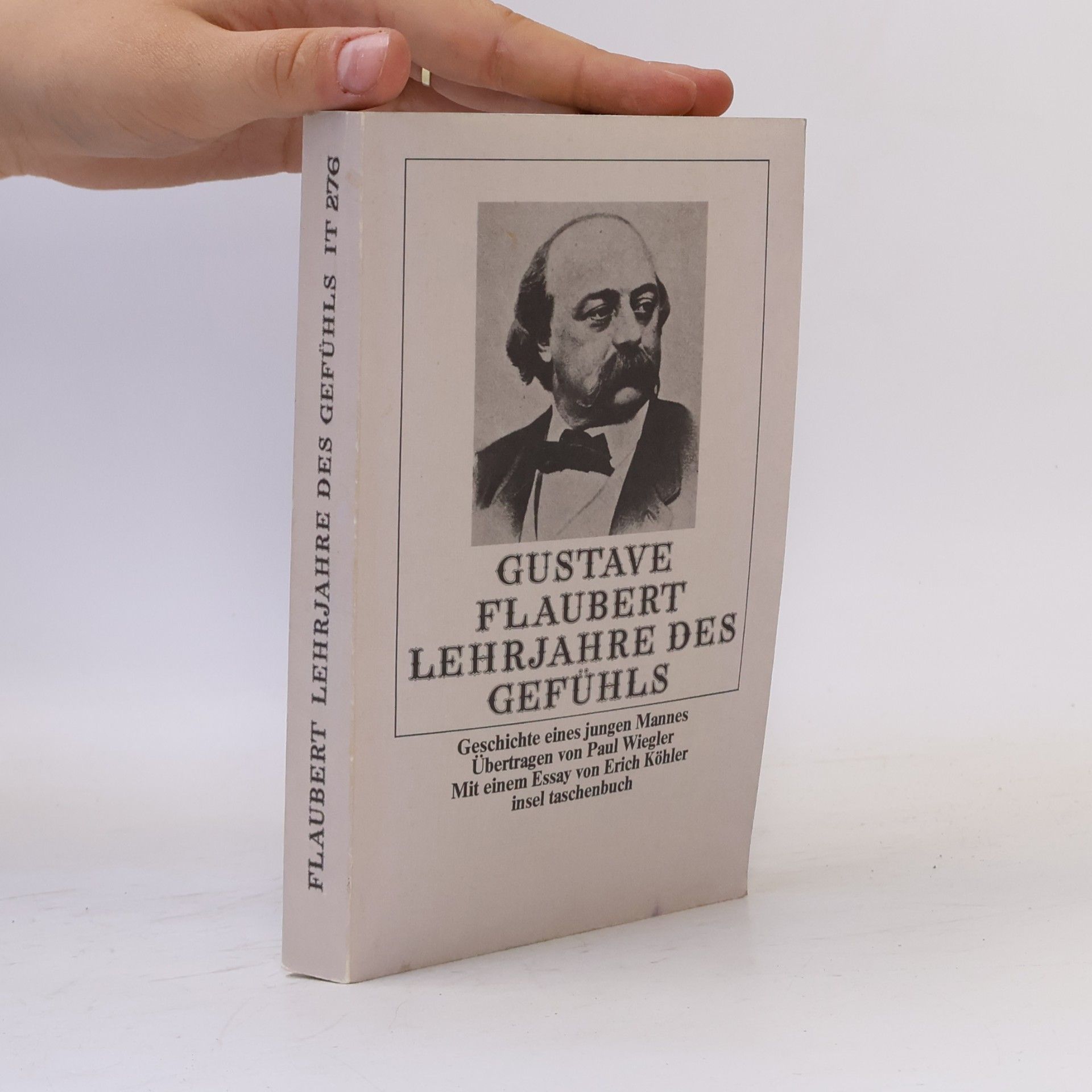 Gustave Flaubert Lehrjahre des Gefühls