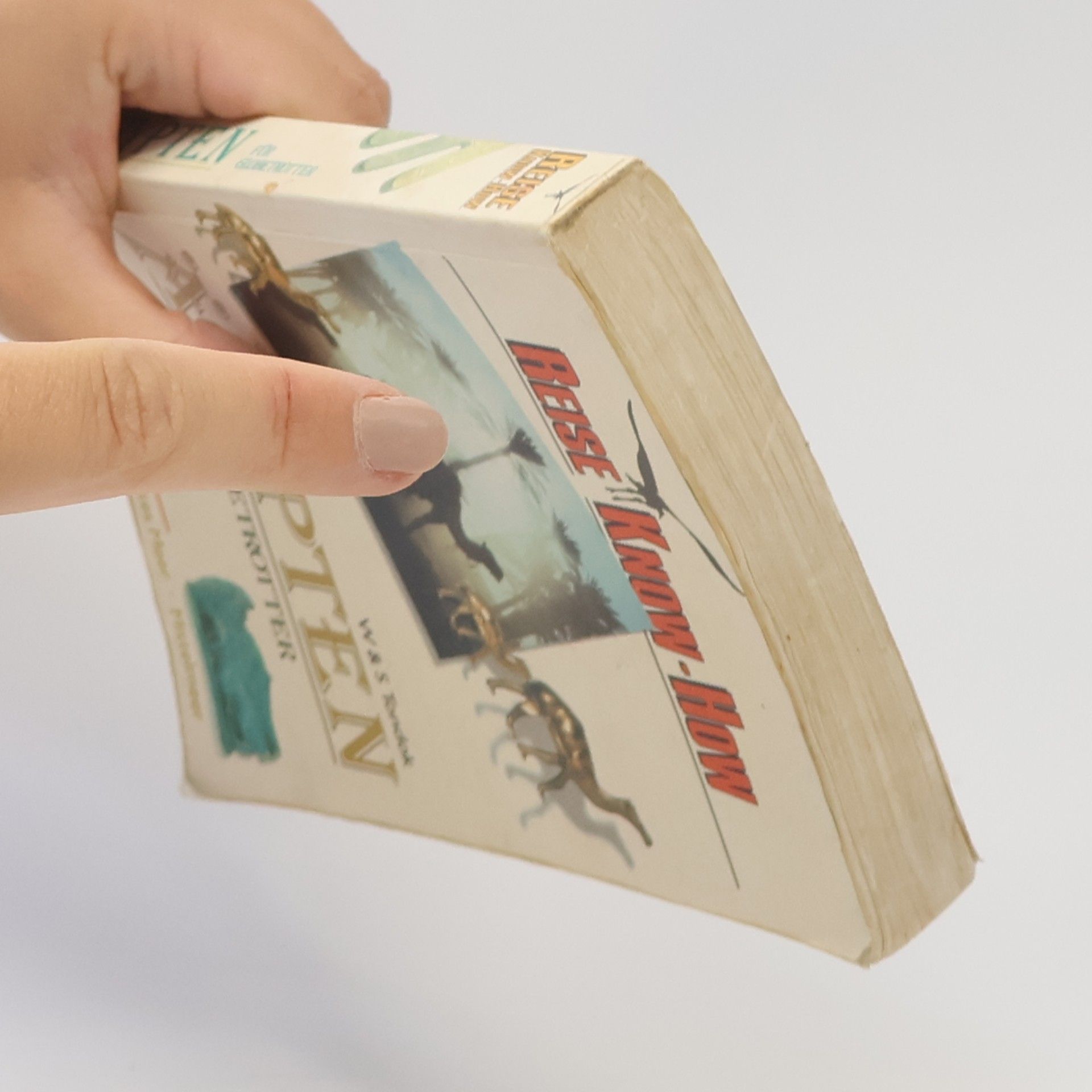 Wil Tondok Ägypten für Globetrotter