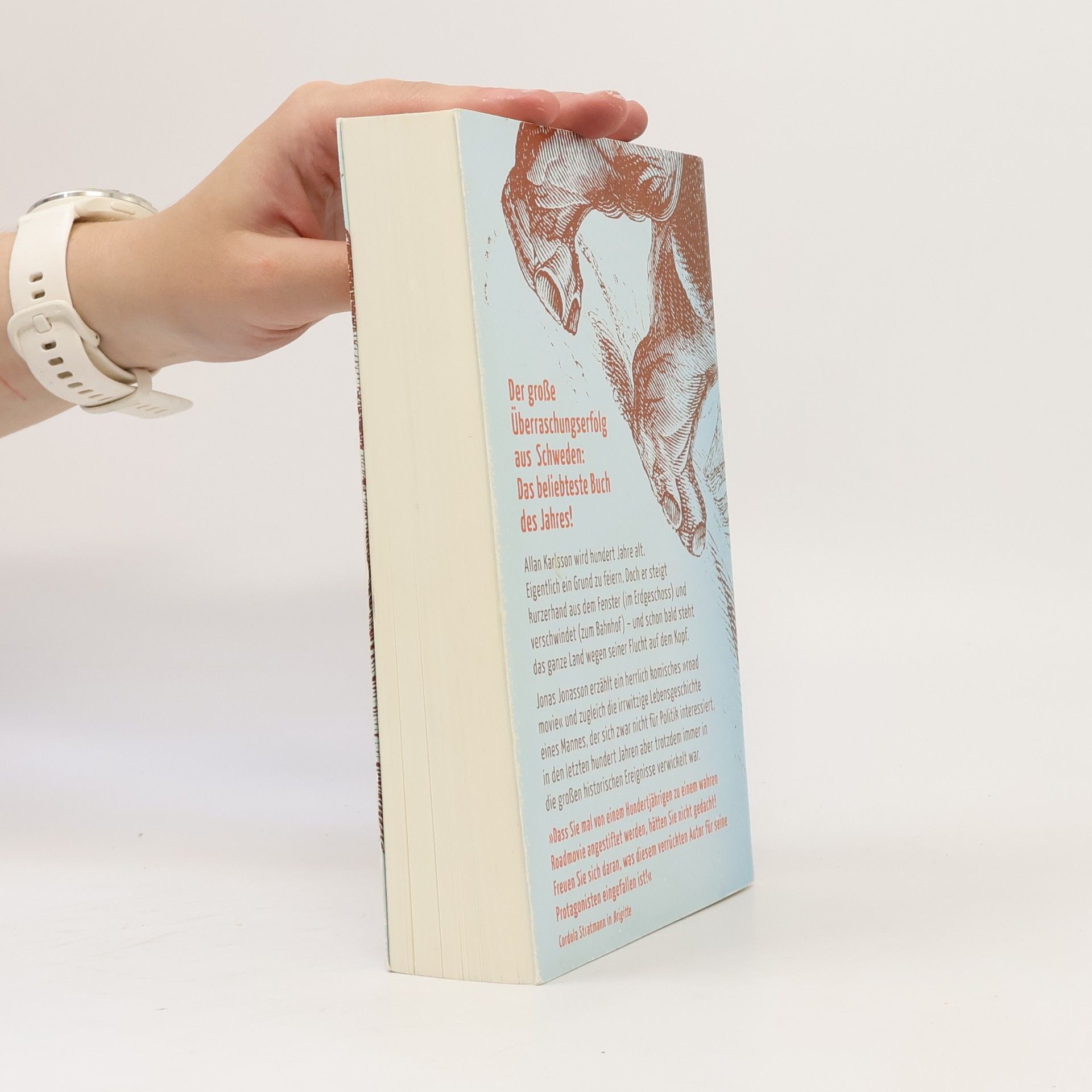 Jonas Jonasson Der Hundertjährige, der aus dem Fenster stieg und verschwand
