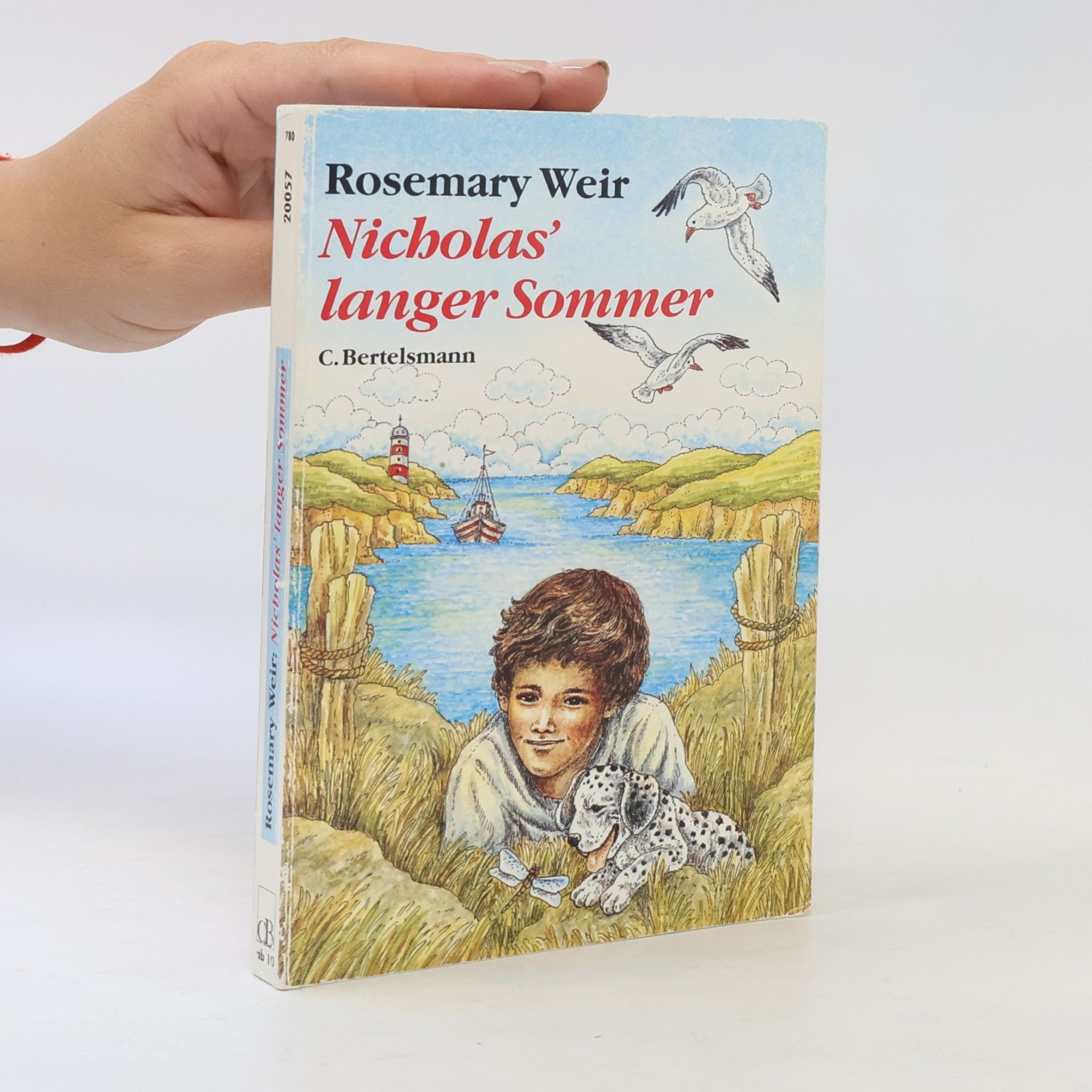 Rosemary Weir Bertelsmann Kinder- und Jugend-Taschenbücher: Nicolas' langer Sommer