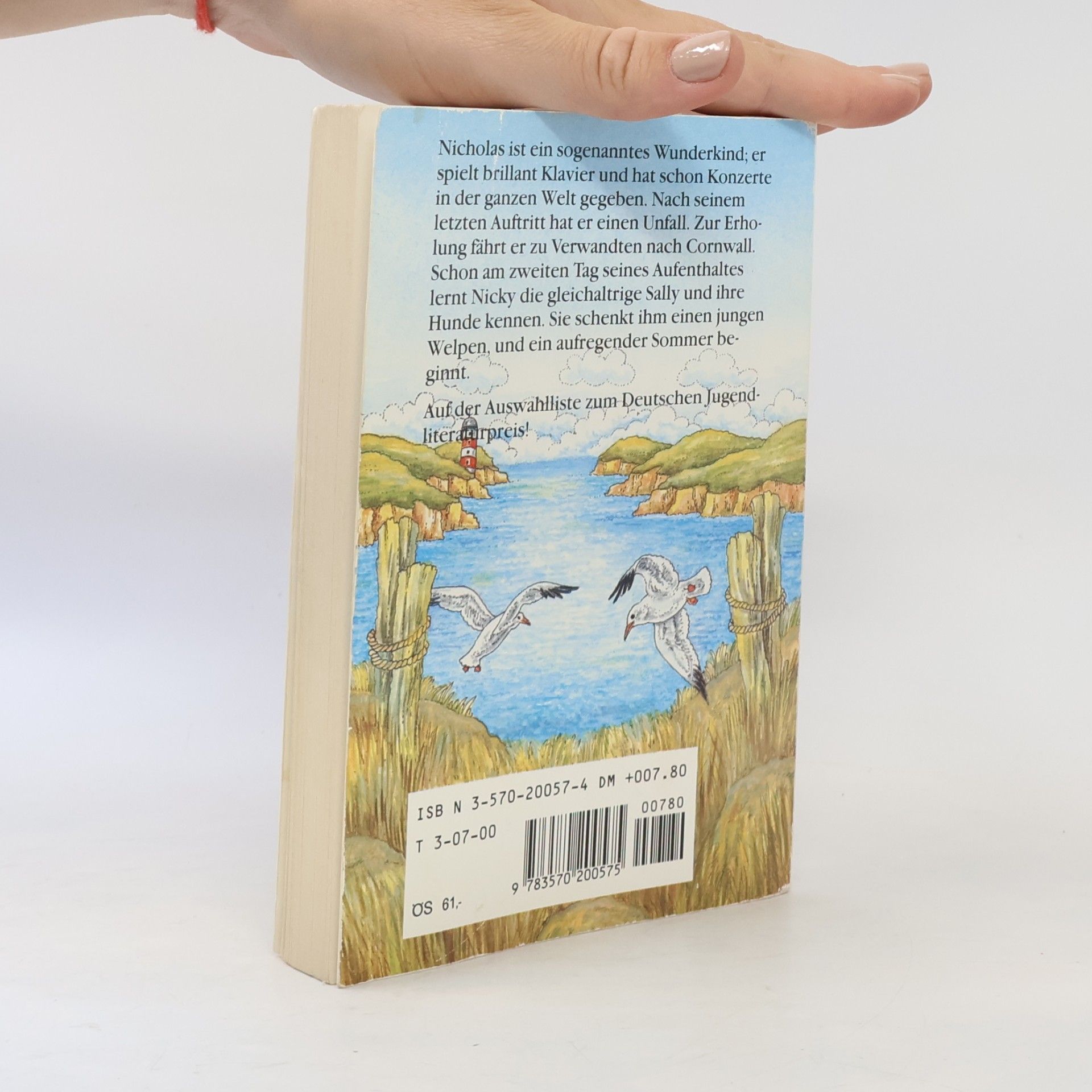 Rosemary Weir Bertelsmann Kinder- und Jugend-Taschenbücher: Nicolas' langer Sommer