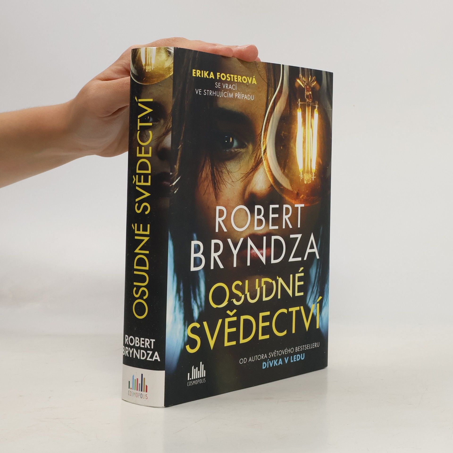 Robert Bryndza Osudné svědectví